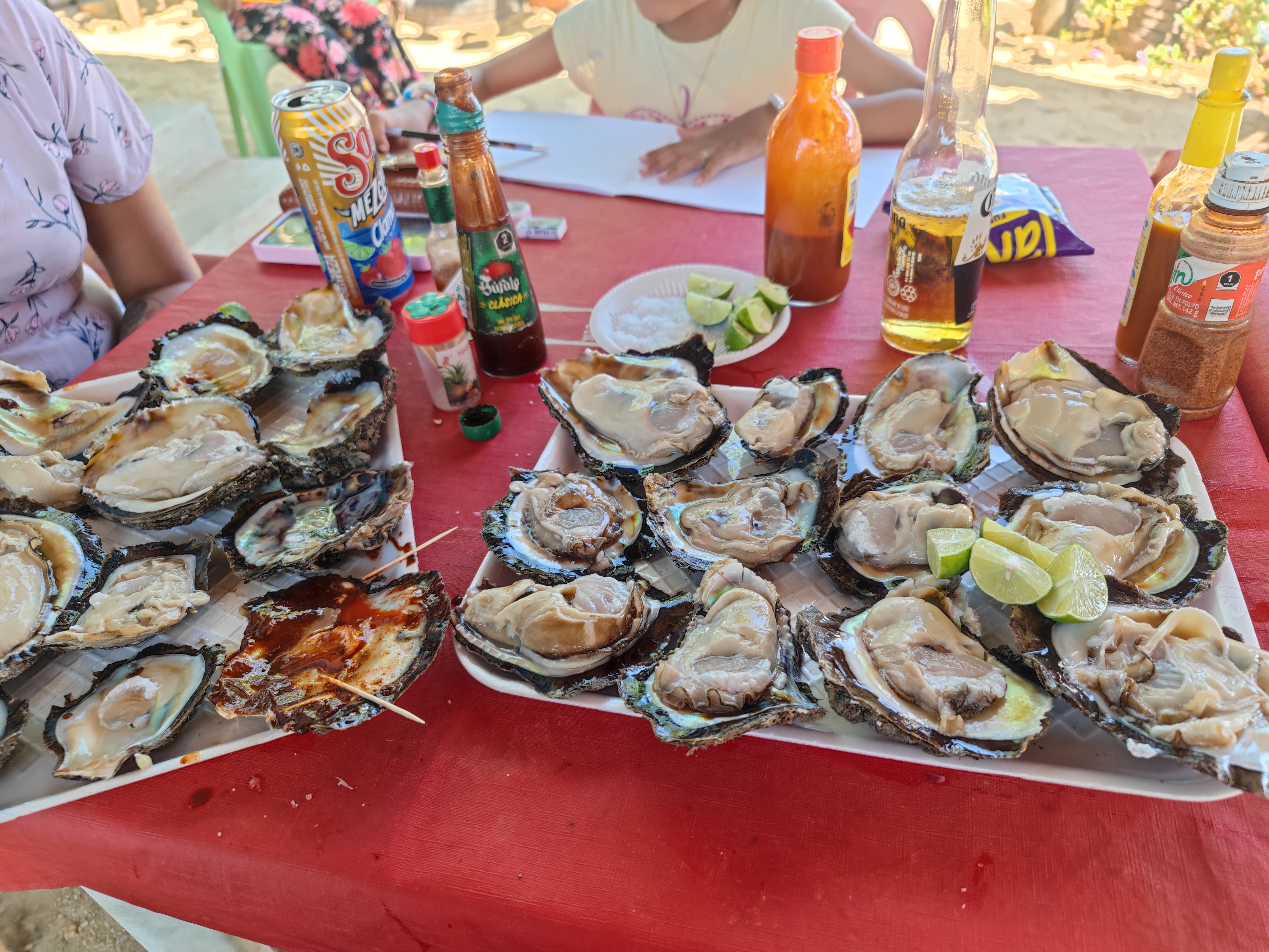 Cabaña-Restaurante "El delfín dorado* image 10