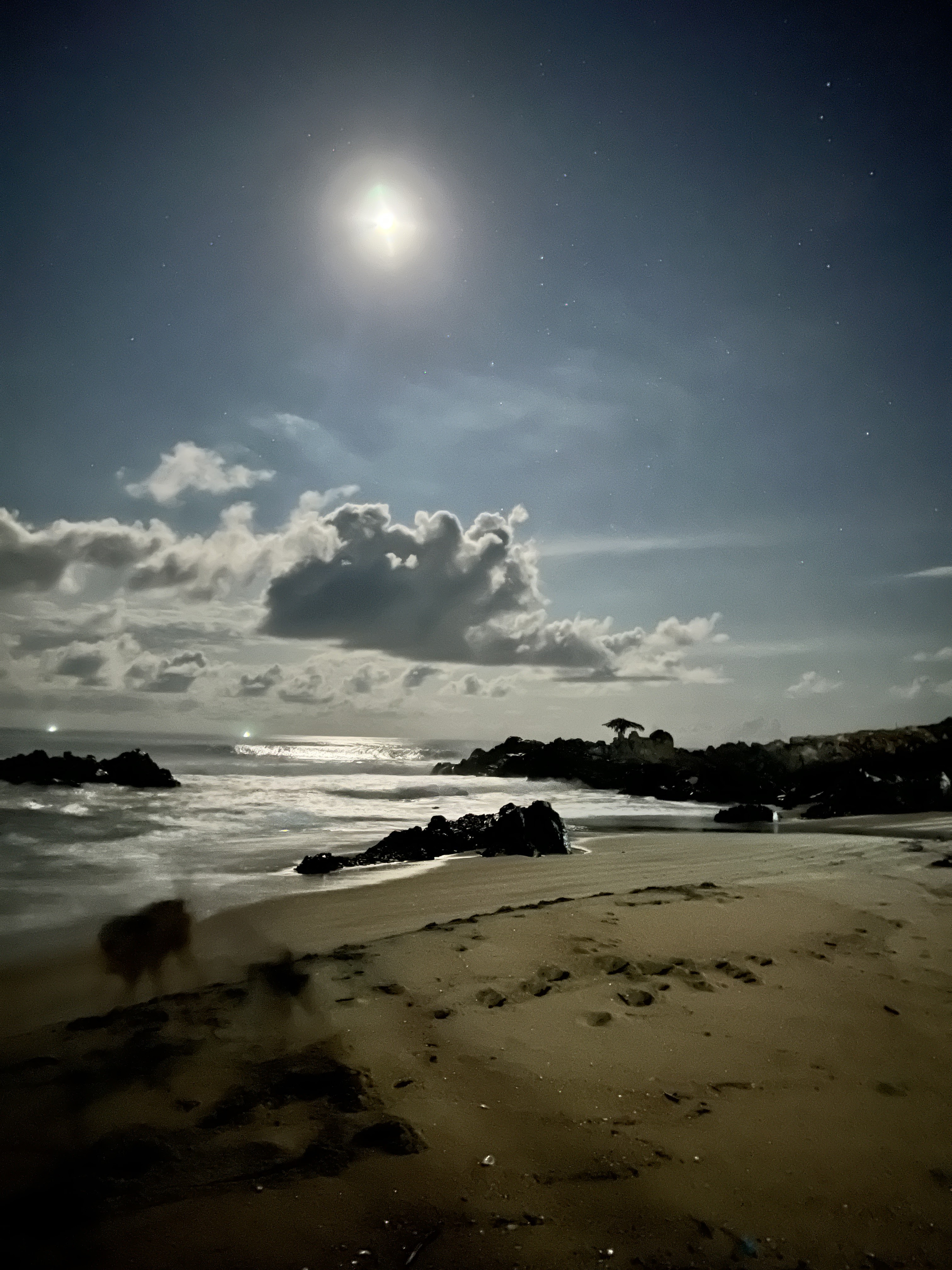 Hotel y restaurant "Mary" image 4