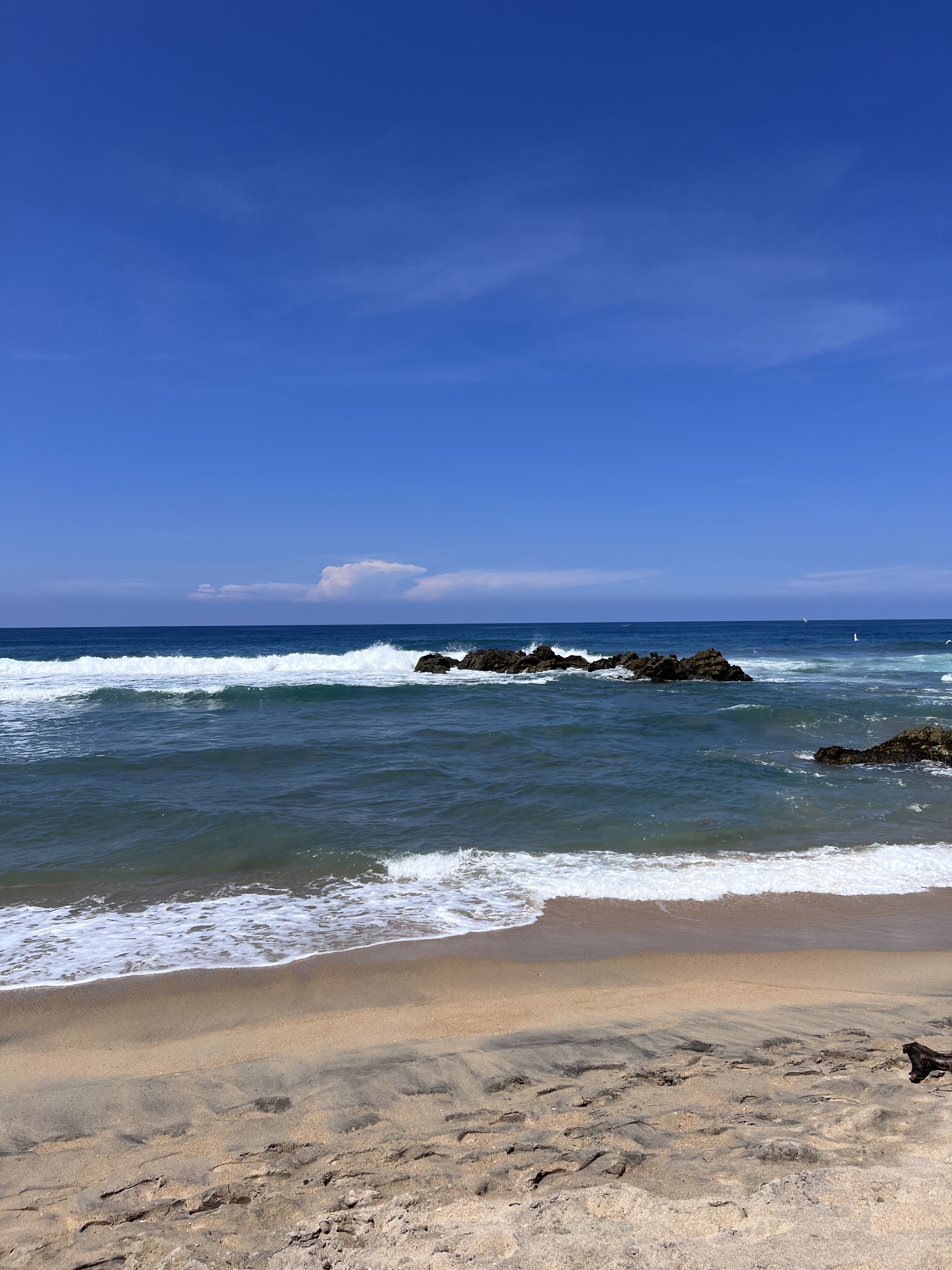 Hotel y restaurant "Mary" image 5