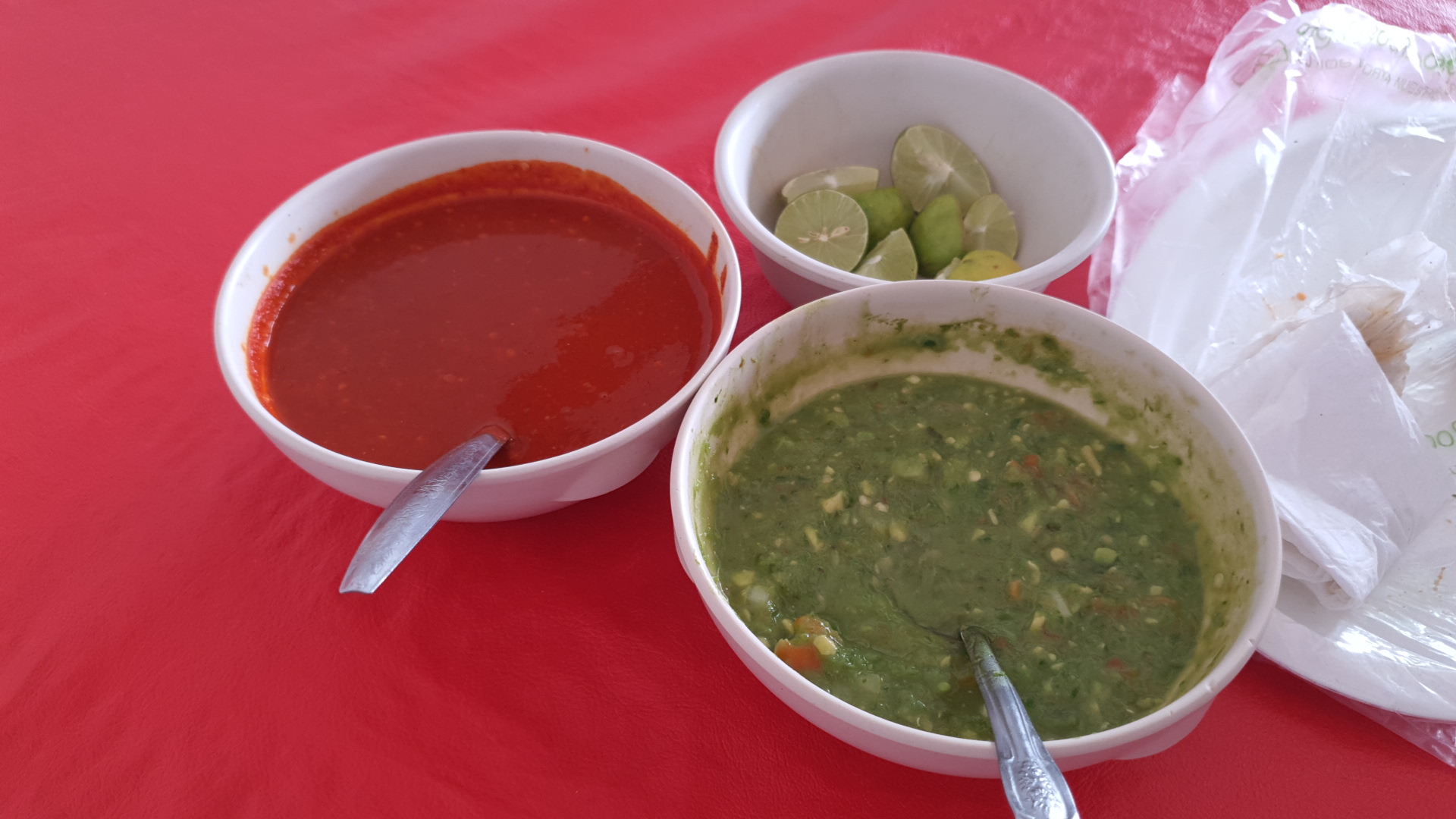 Taquería los Guaches image 8