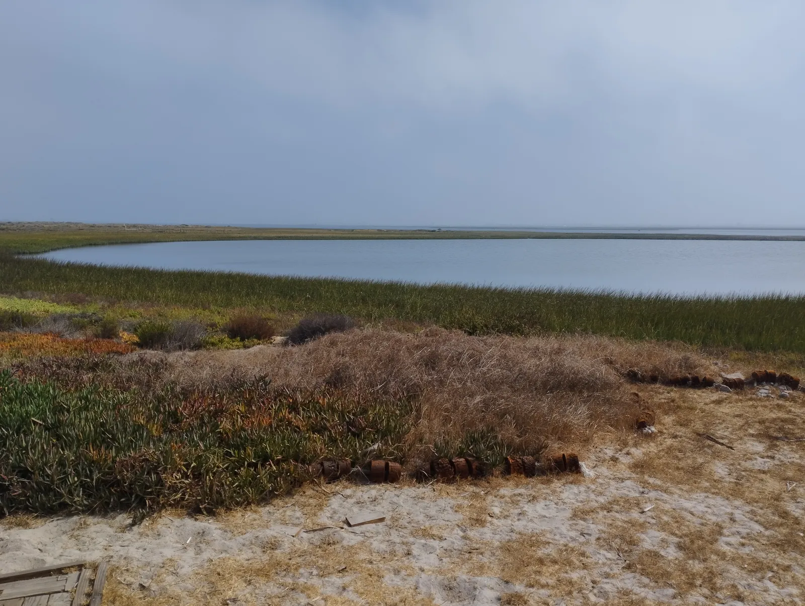 La Marina image 8