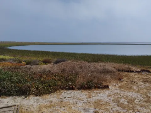 La Marina image 8