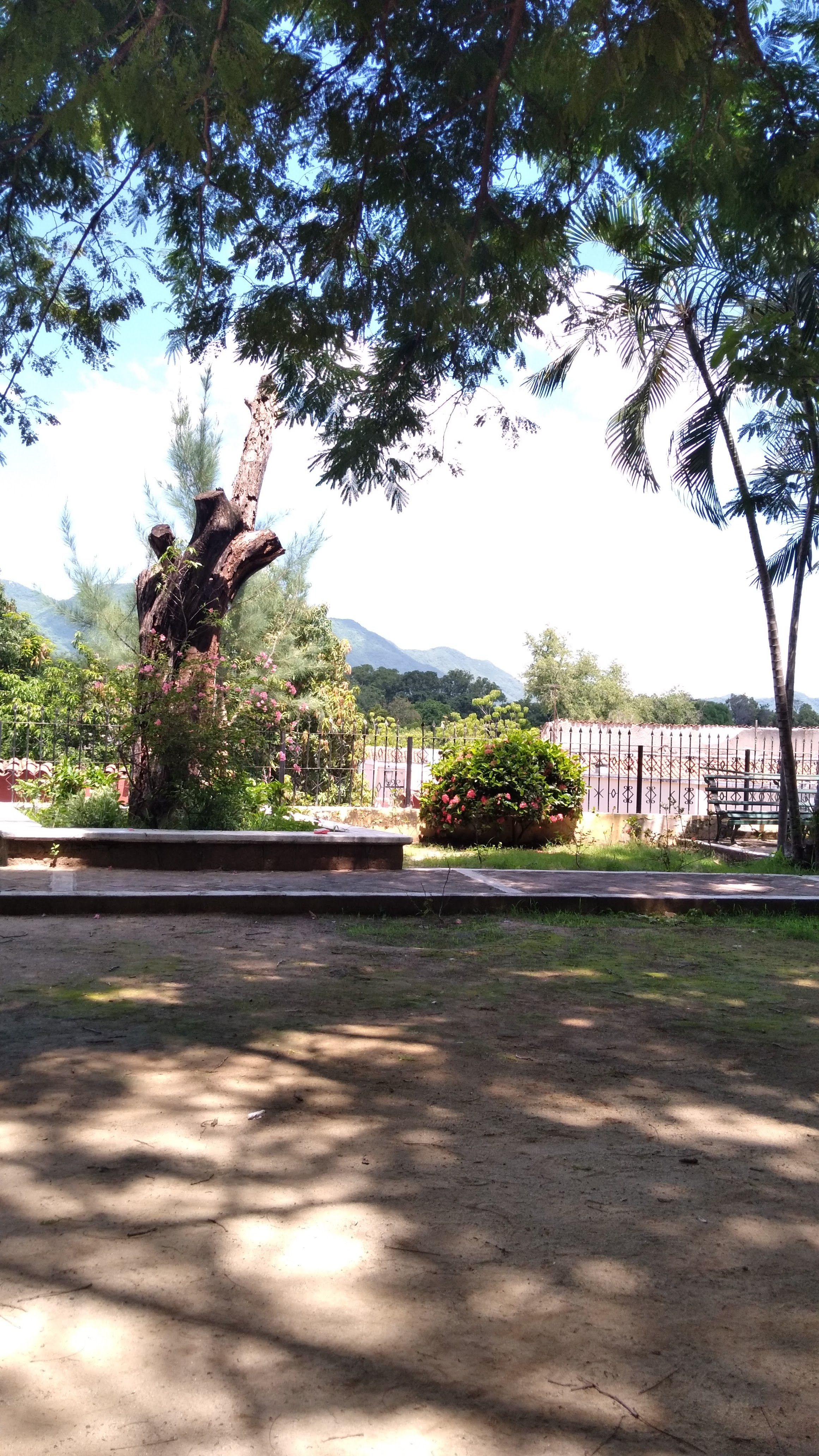 Restaurant El Nuevo Rincon image 4