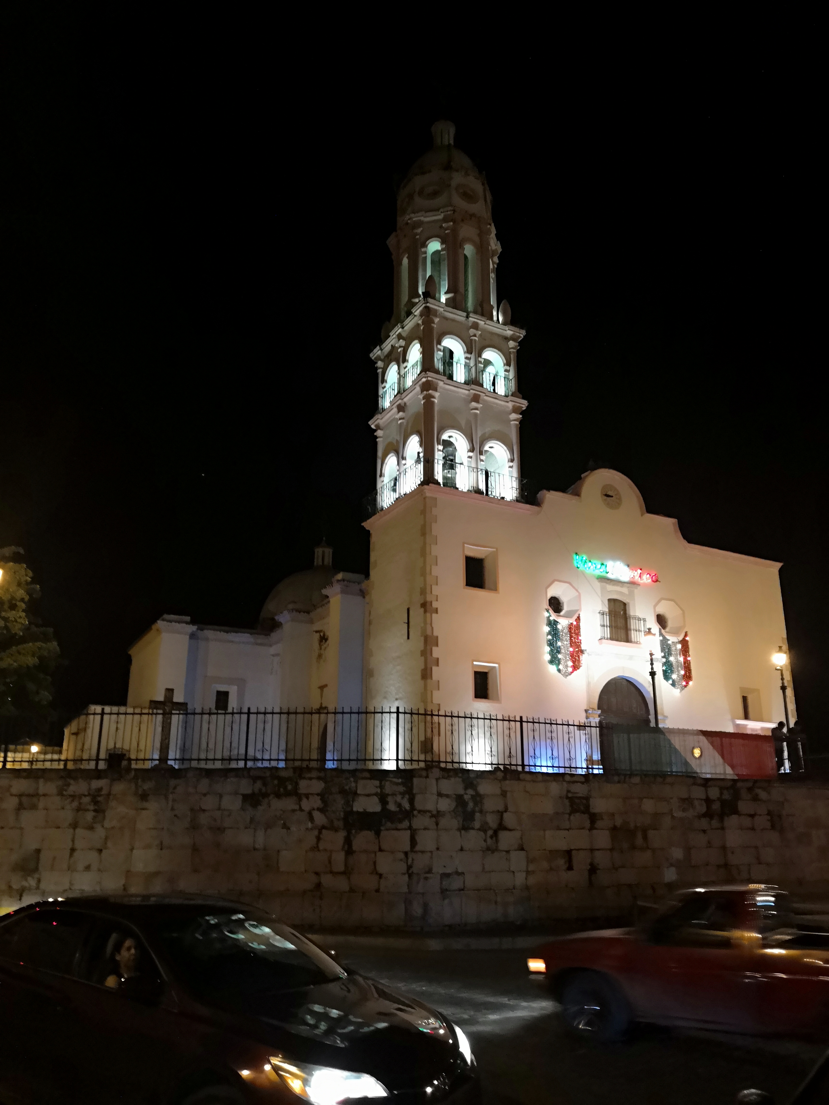 Flamitos Wings image 2