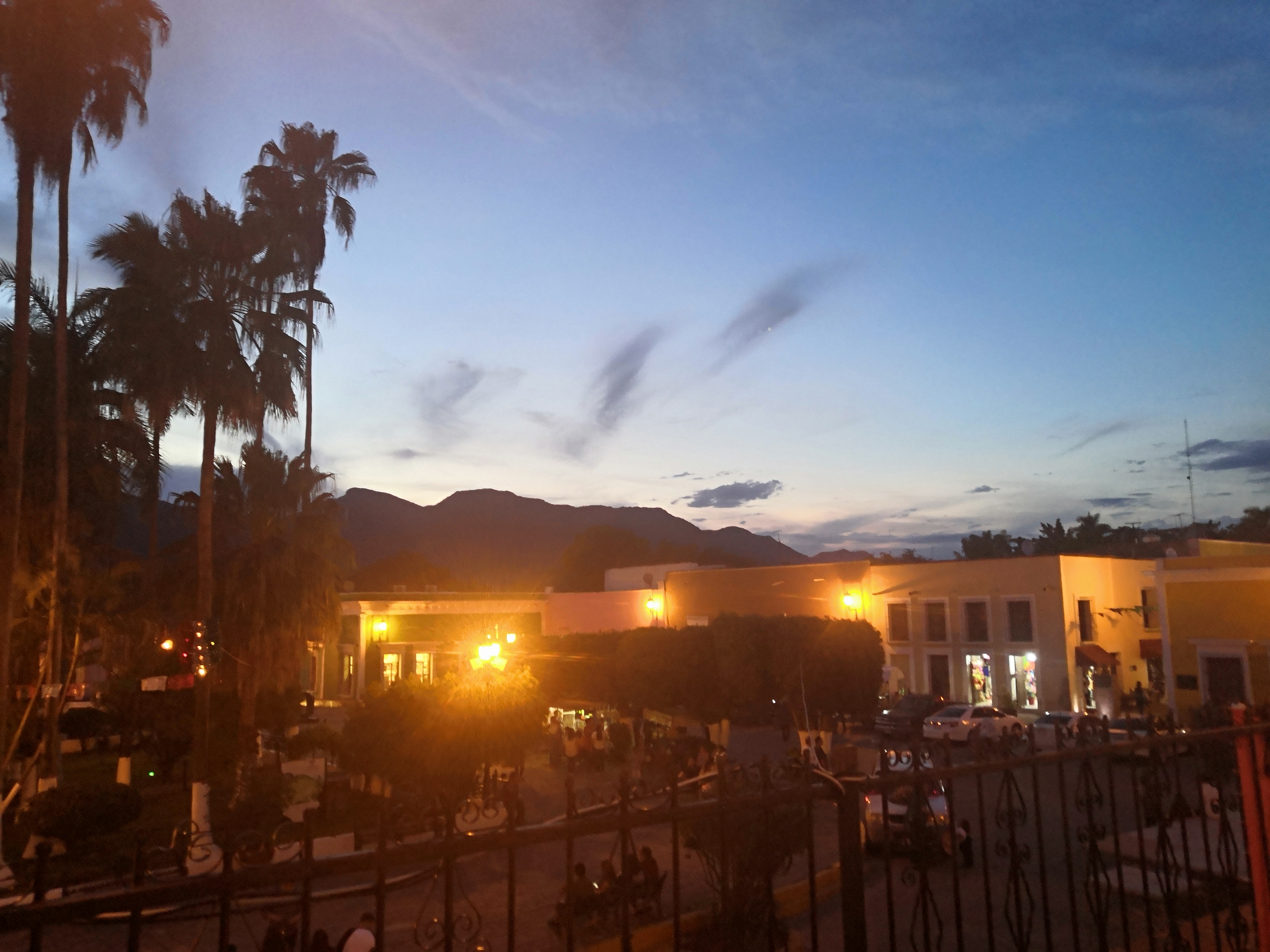 Flamitos Wings image 3