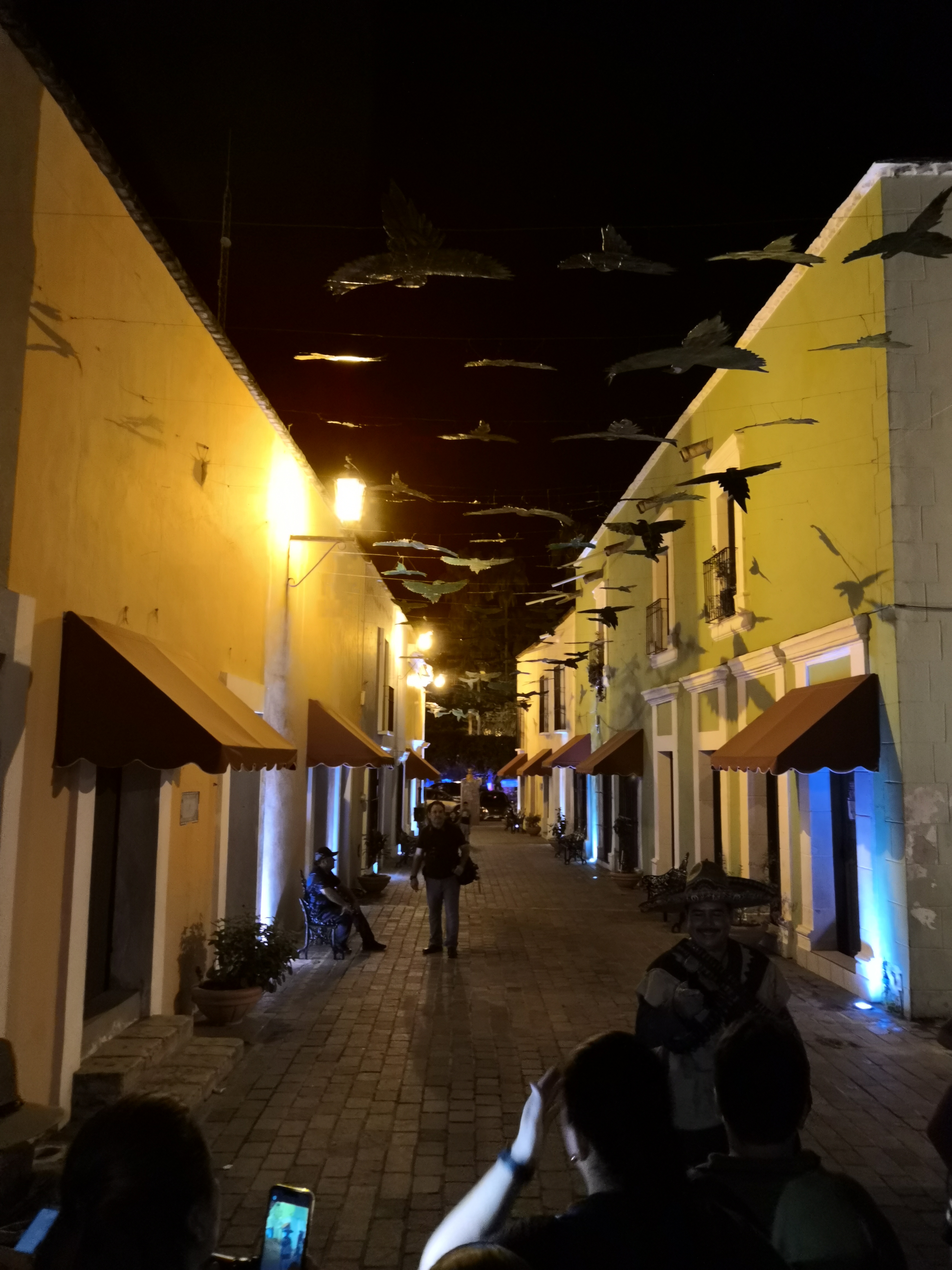 Flamitos Wings image 5