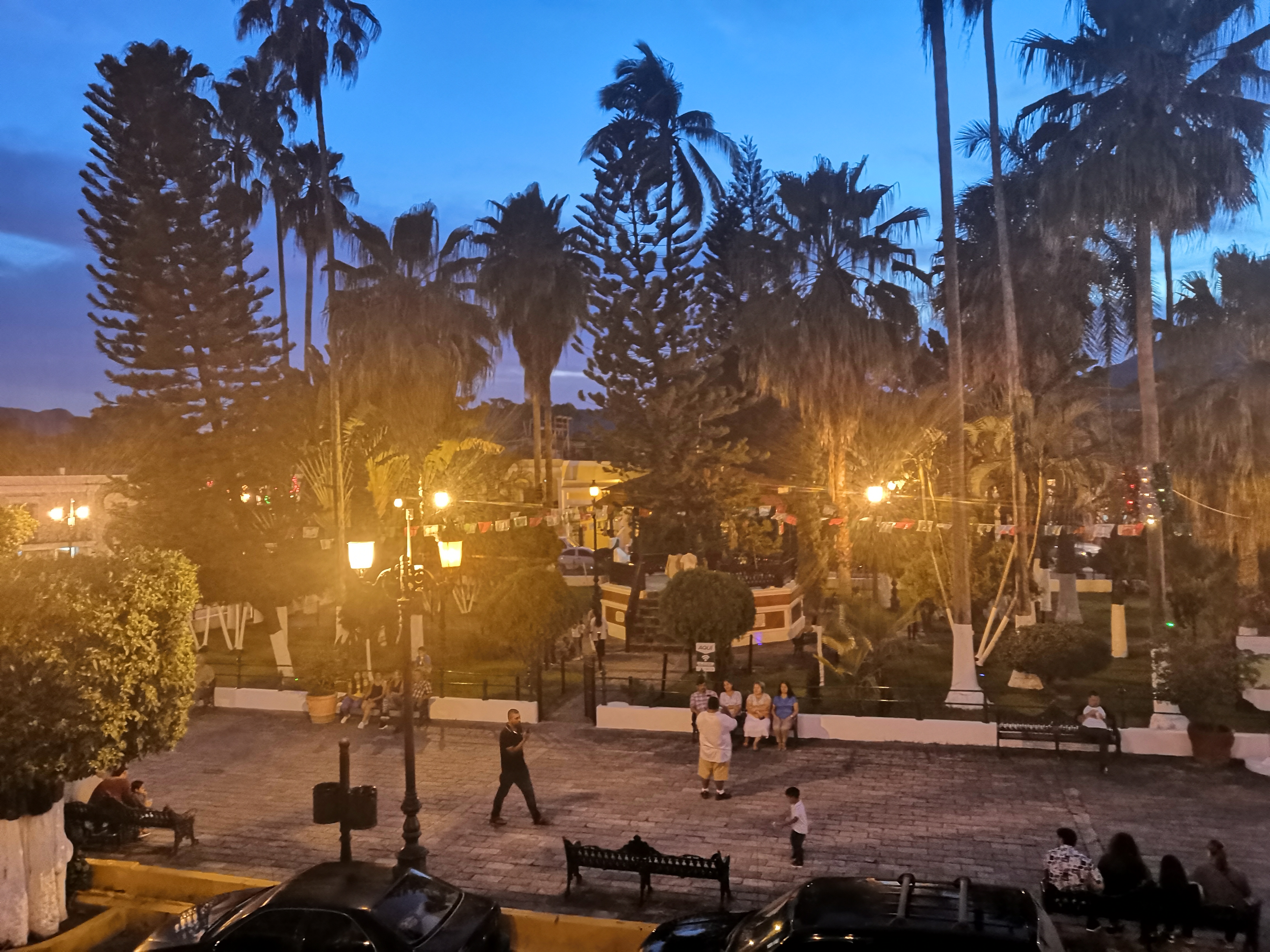 Flamitos Wings image 10