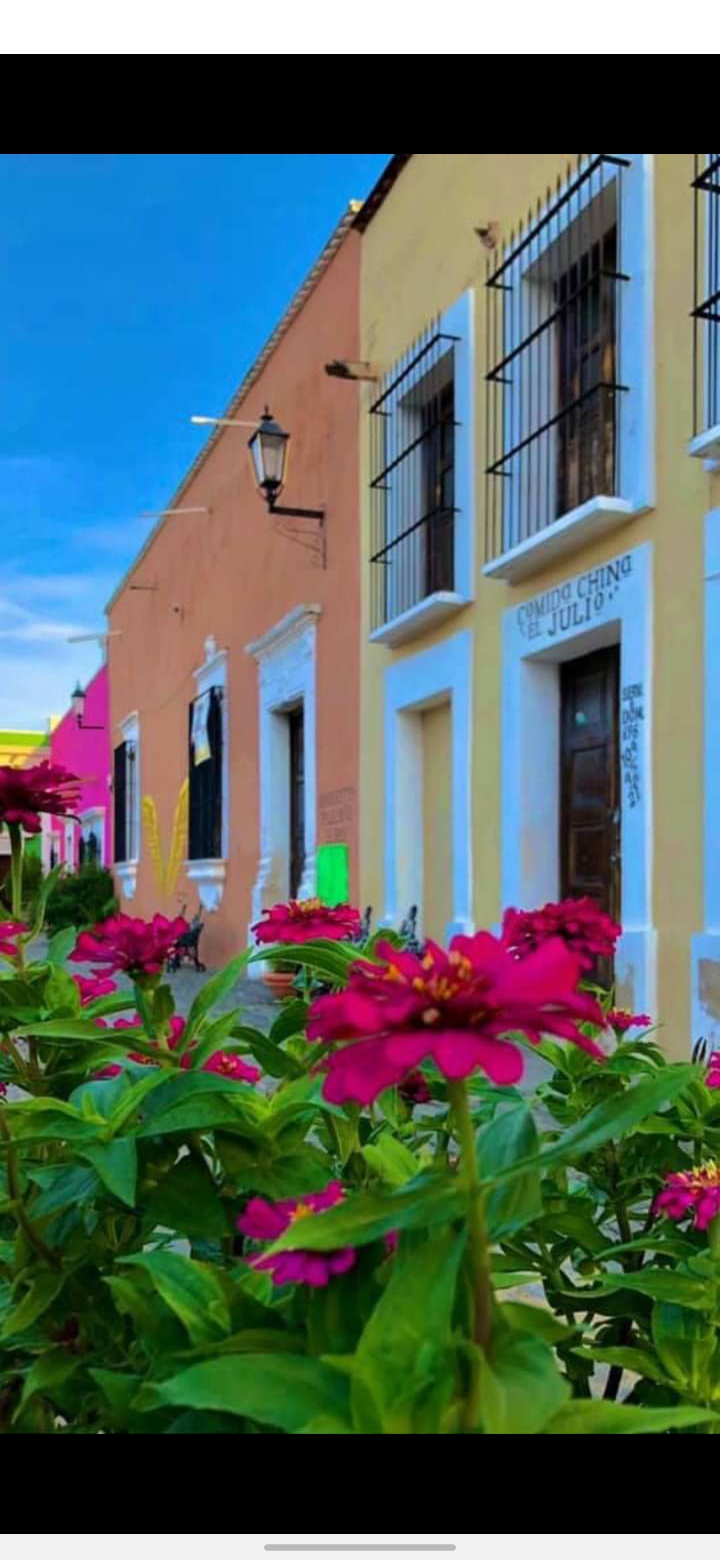 Comida china el julio image 2