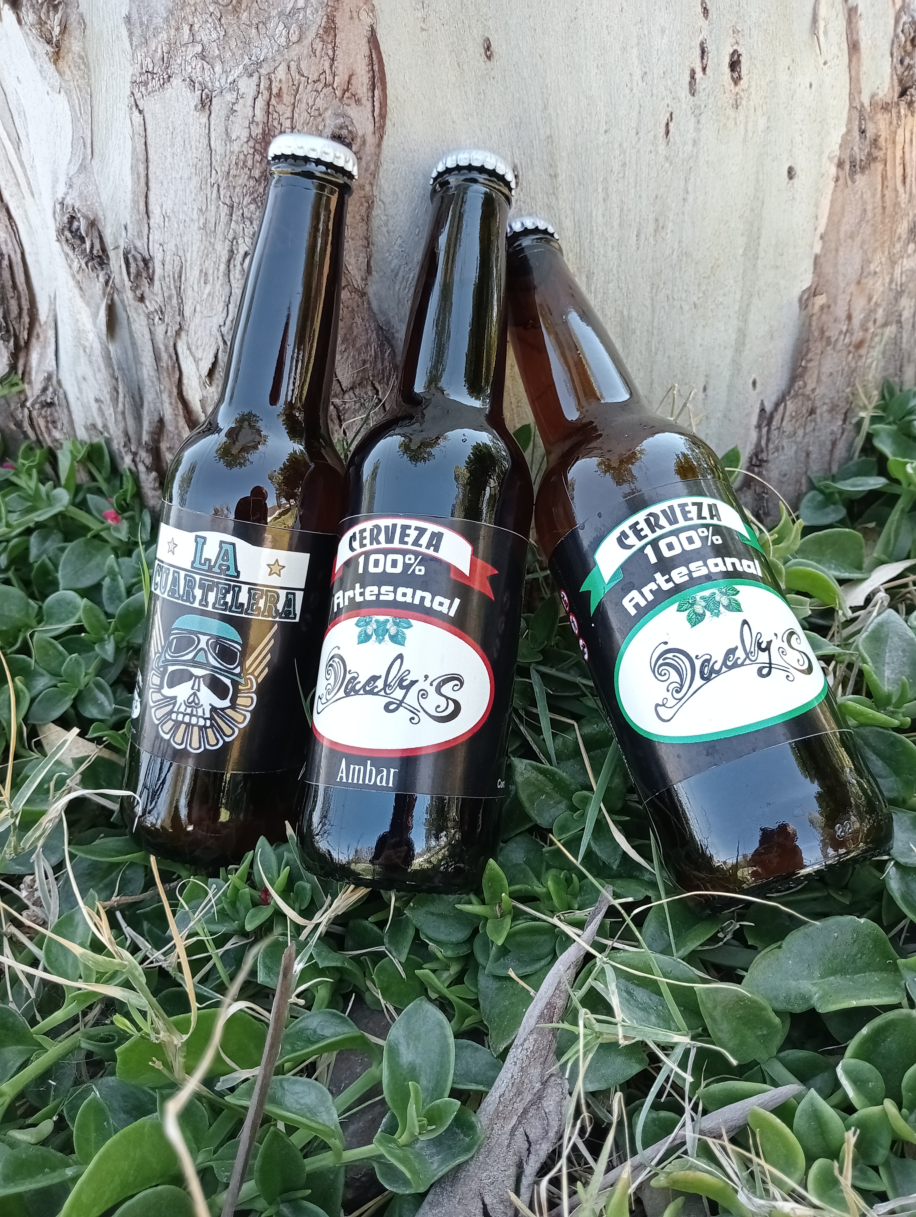 Cervecería Artesanal Dacly's image 1