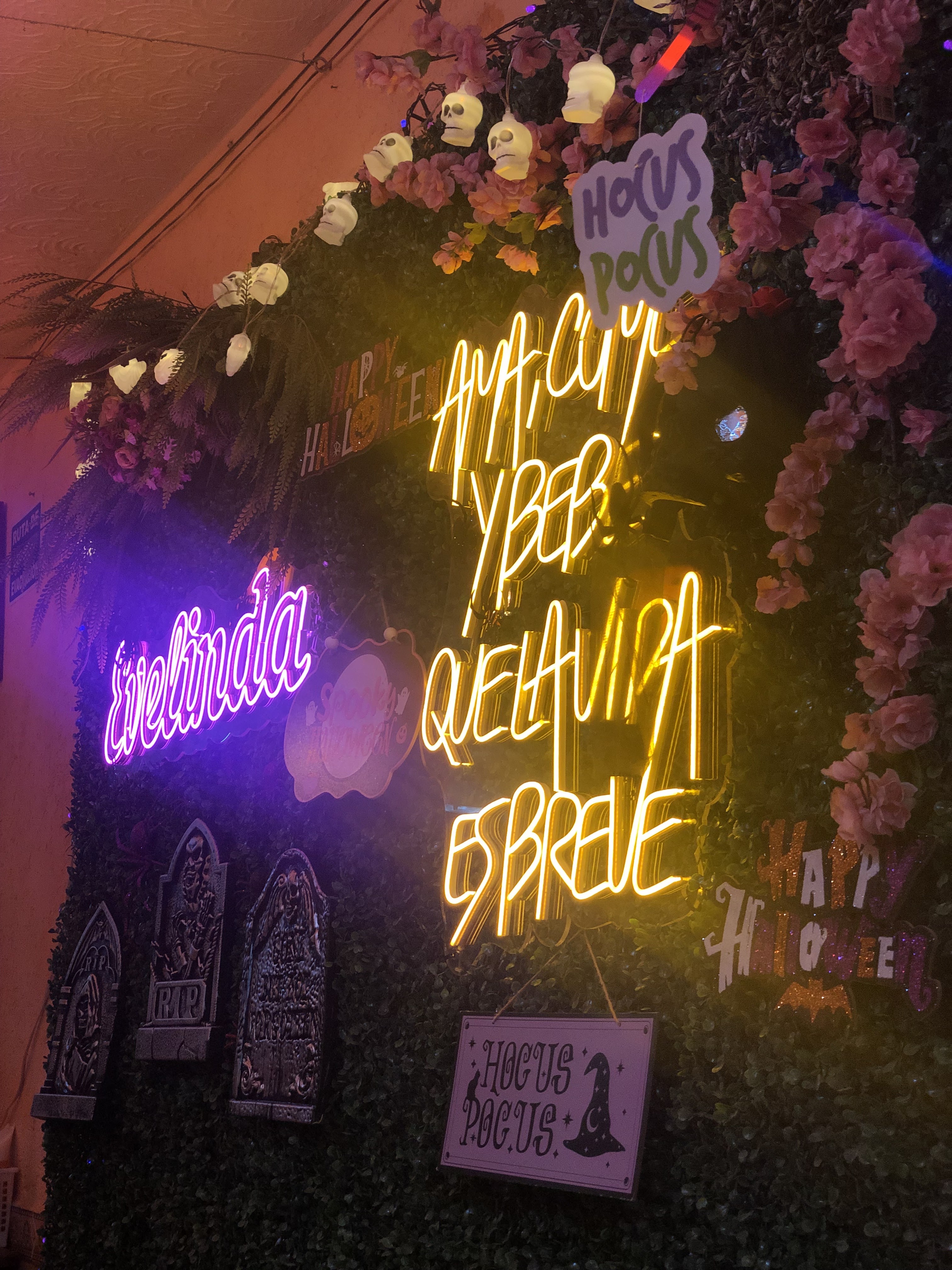 EVELINDA, ALIMENTOS Y BEBIDAS image 7