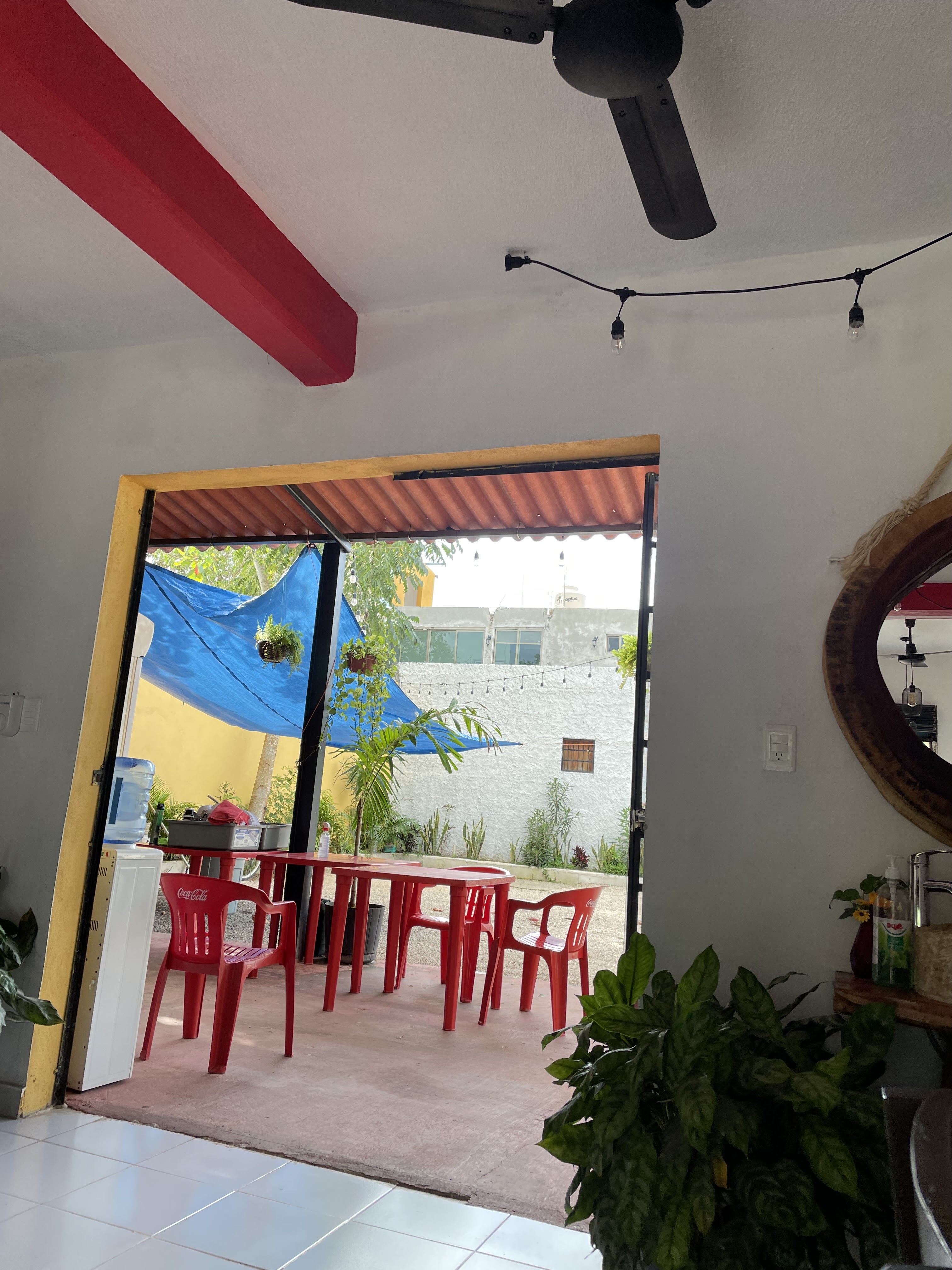 PolloPoshito image 4