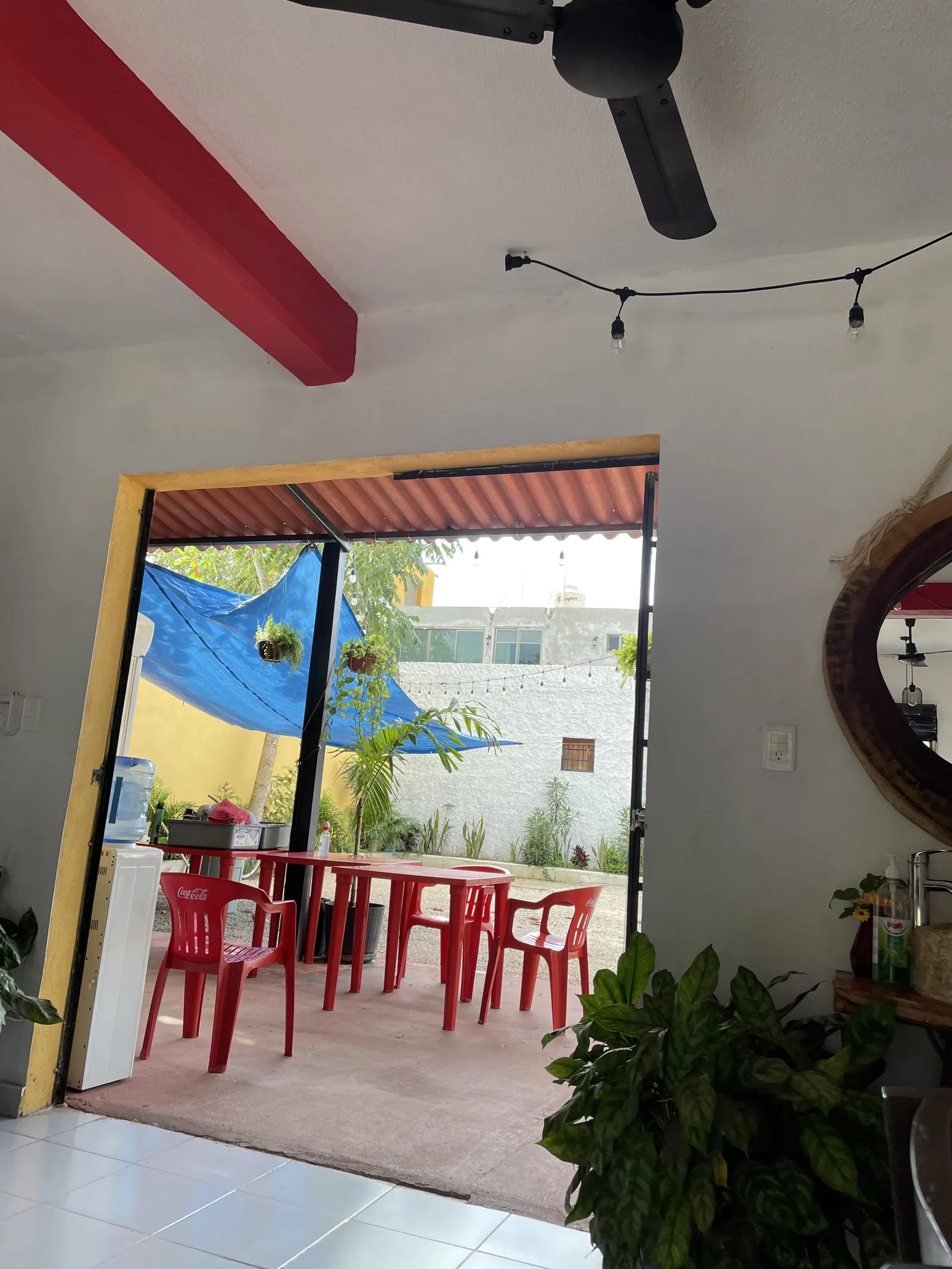 PolloPoshito image 4