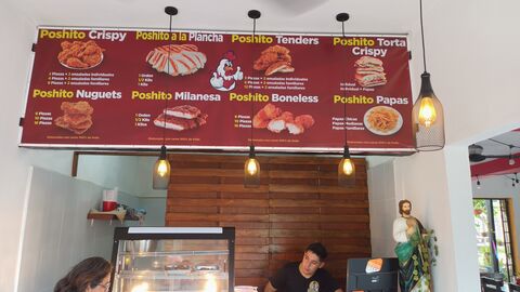 PolloPoshito image 8