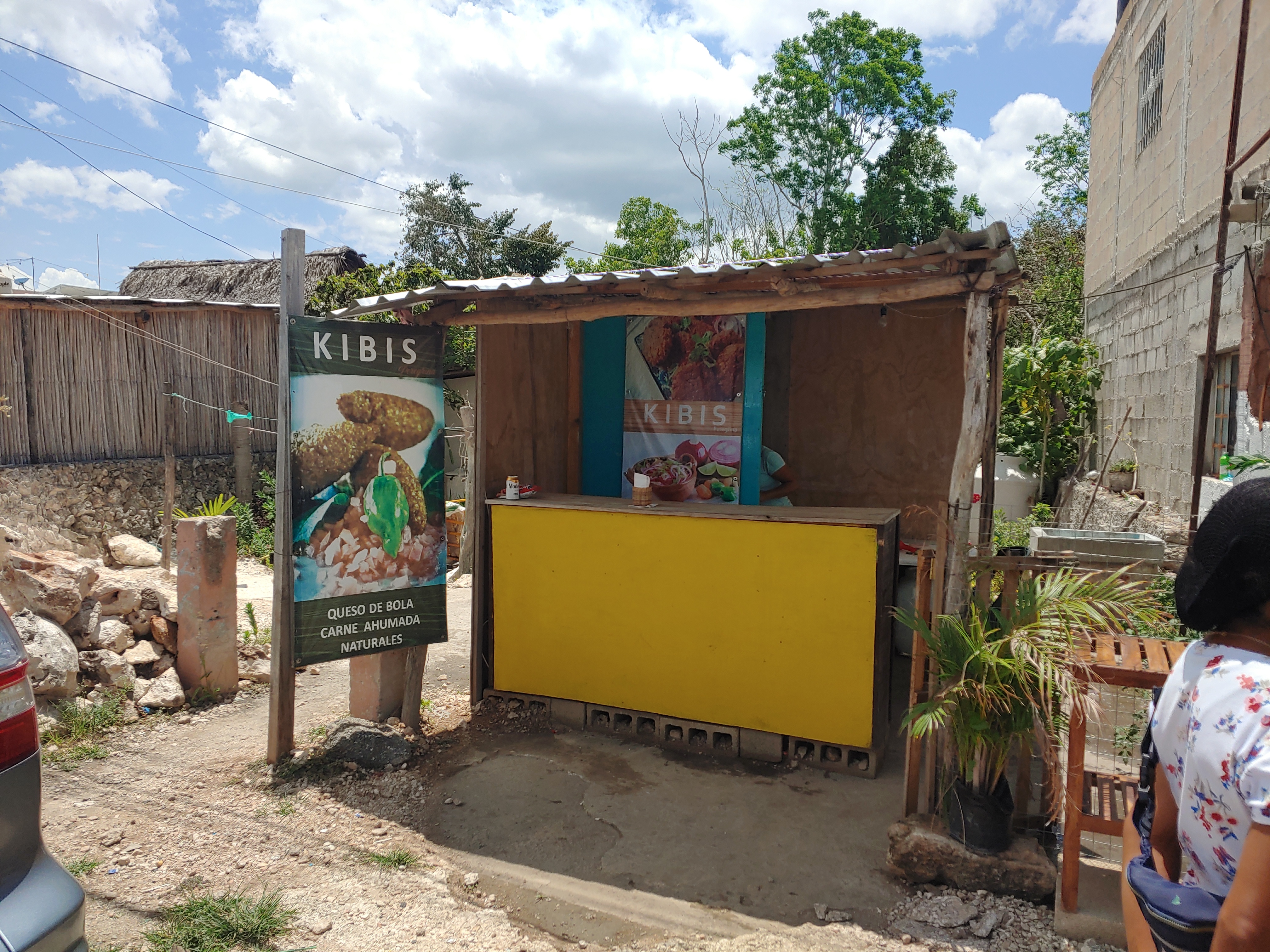 Kibis Peregrina image 2