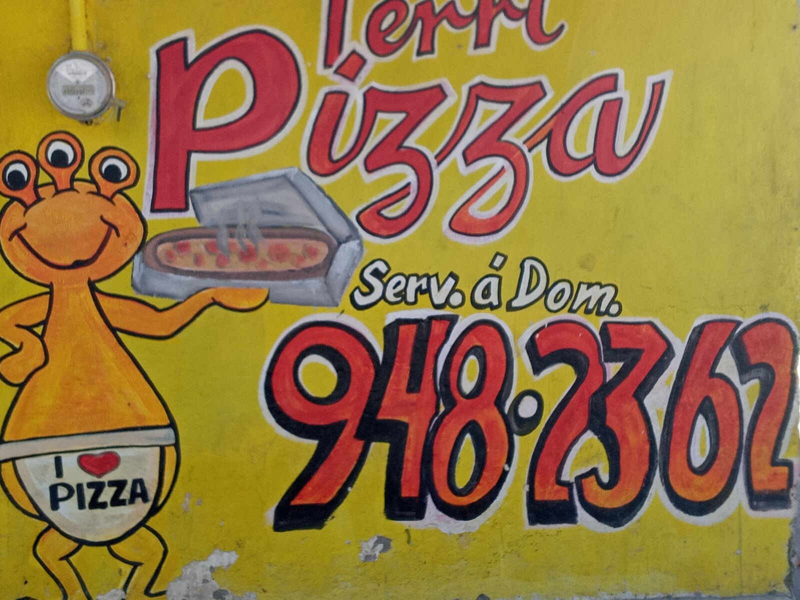 Terri pizza image 2