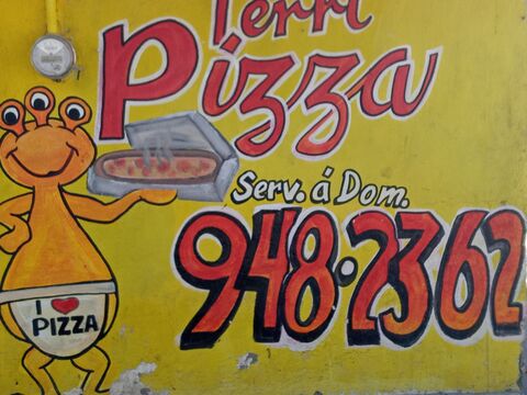 Terri pizza image 2