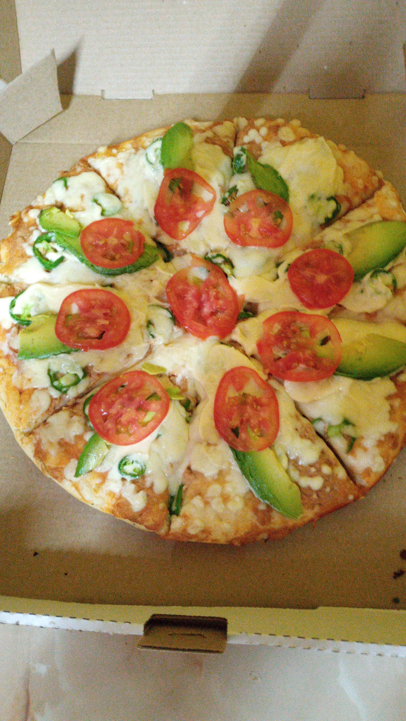 Terri pizza image 7