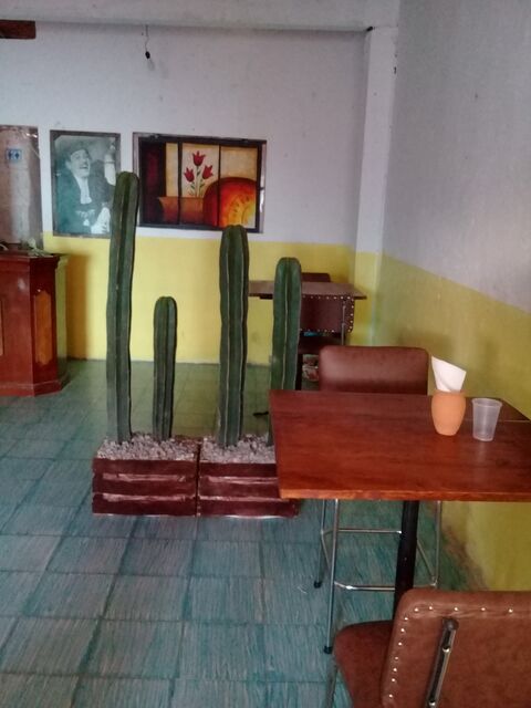 Pizzeria El Gruñon image 5