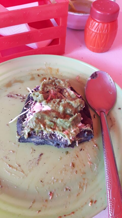 ANTOJITOS MEXICANOS GUAJOLOTES "LA SEÑORA DEL ARBOL" image 1