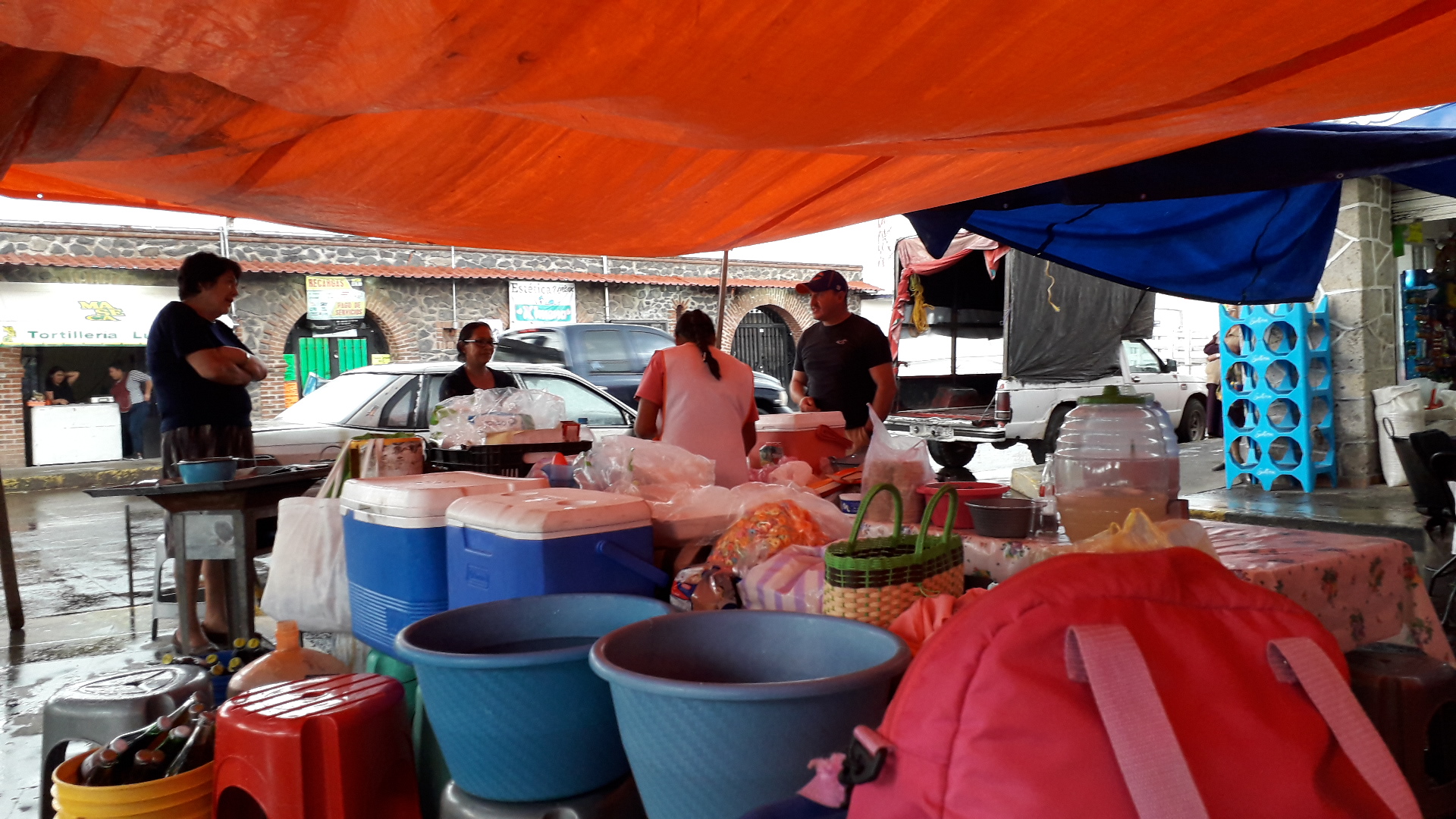 ANTOJITOS MEXICANOS GUAJOLOTES "LA SEÑORA DEL ARBOL" image 2