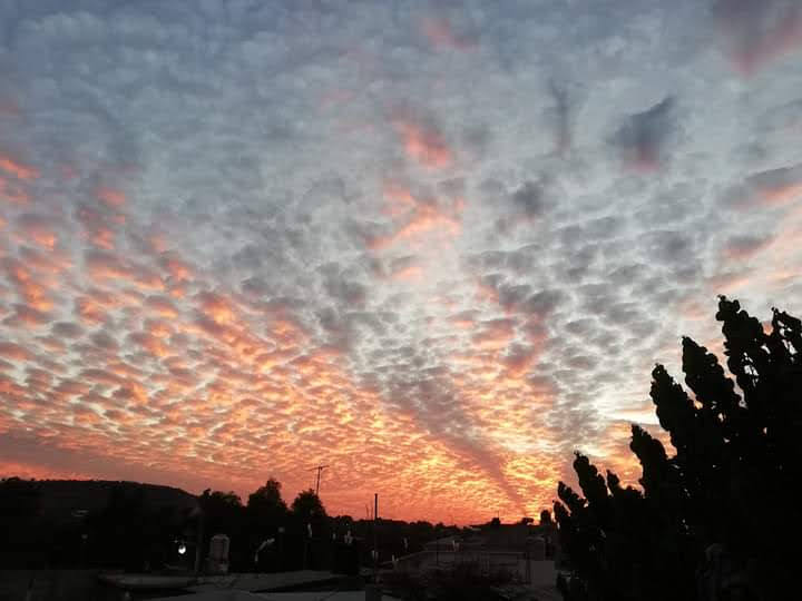 Mariscos los tres jarochos image 2