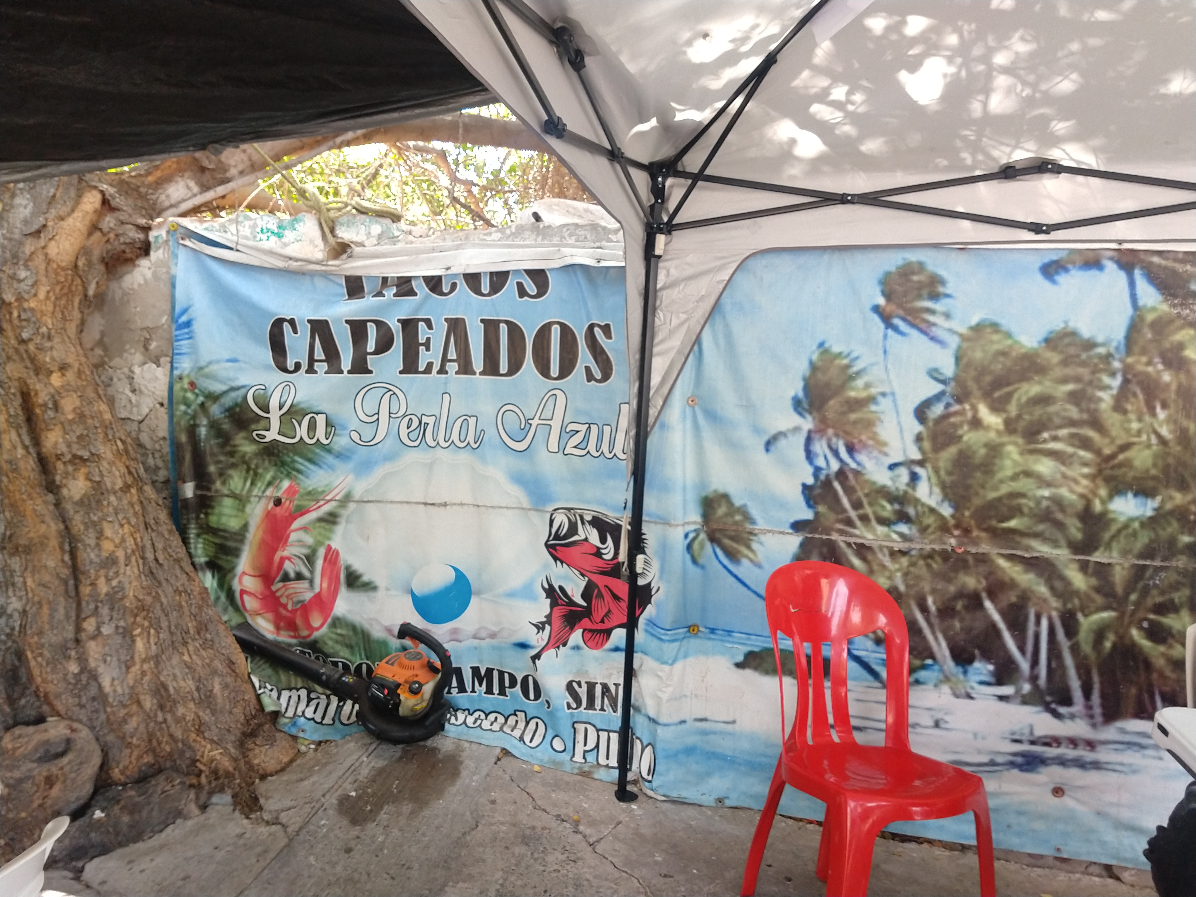 Tacos Capeados La Perla Azul image 6