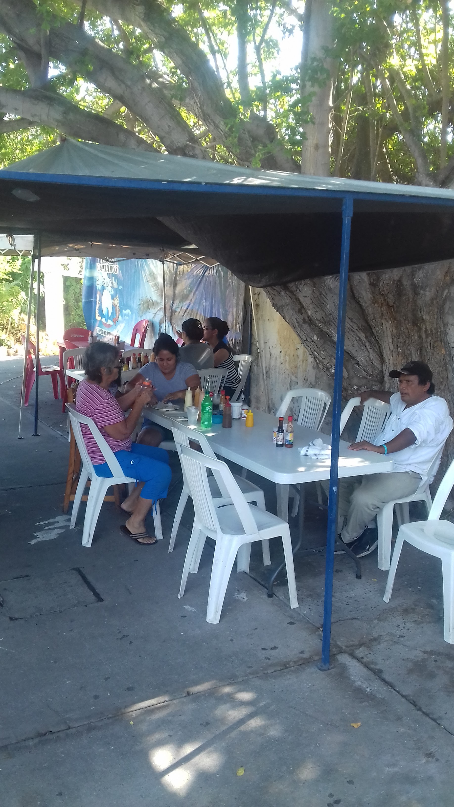 Tacos Capeados La Perla Azul image 9