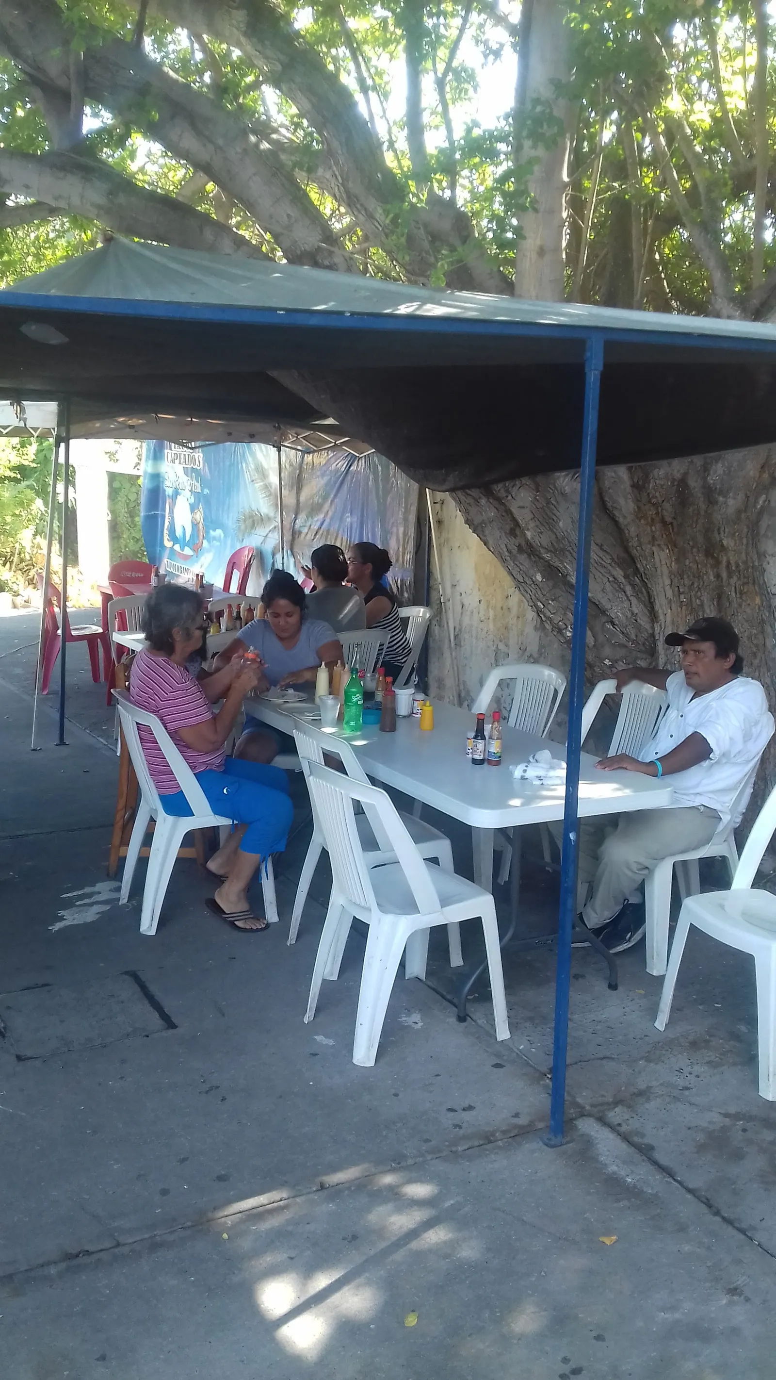 Tacos Capeados La Perla Azul image 9