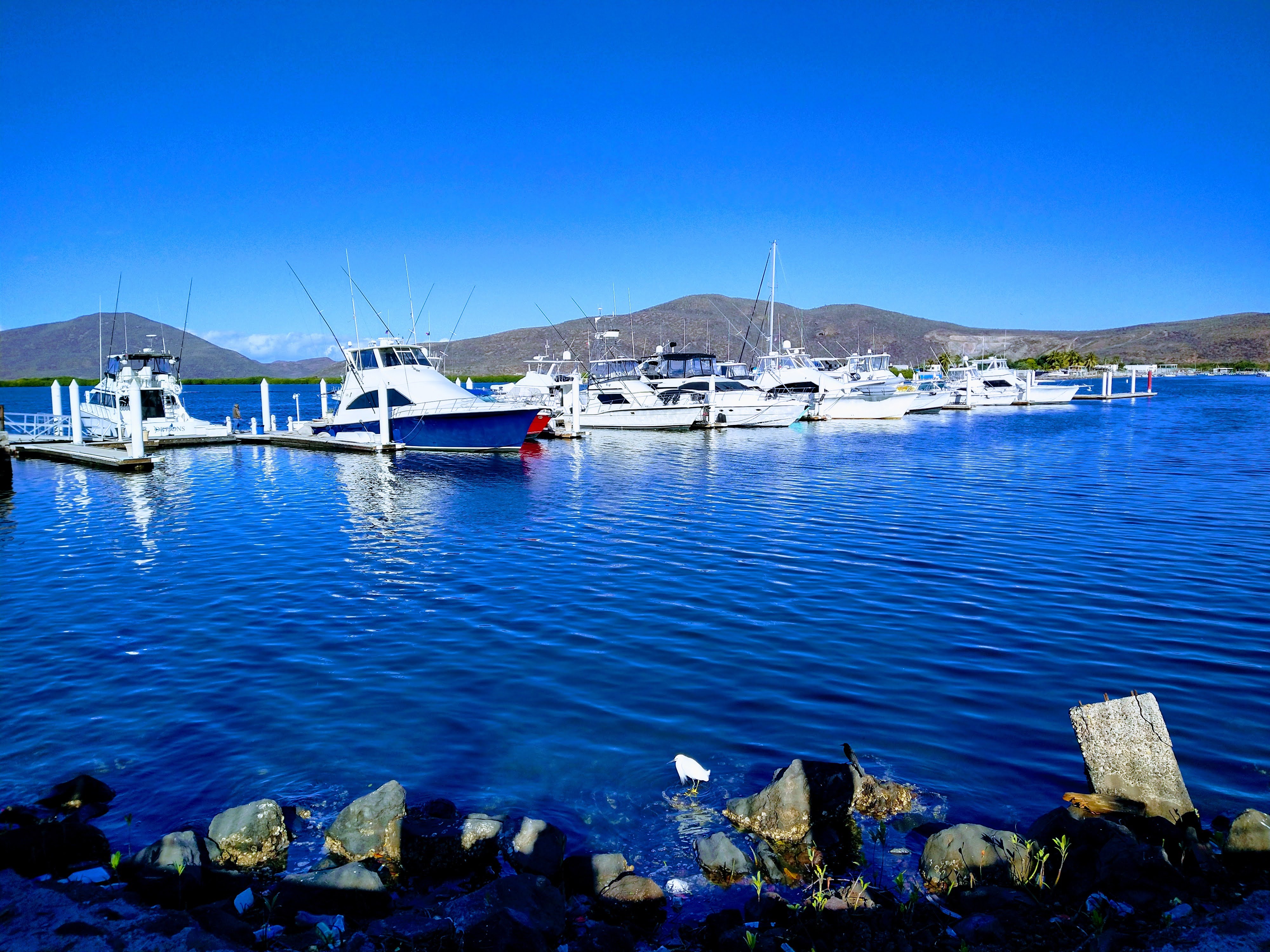 Cocina Económica Mi Capitán image 7