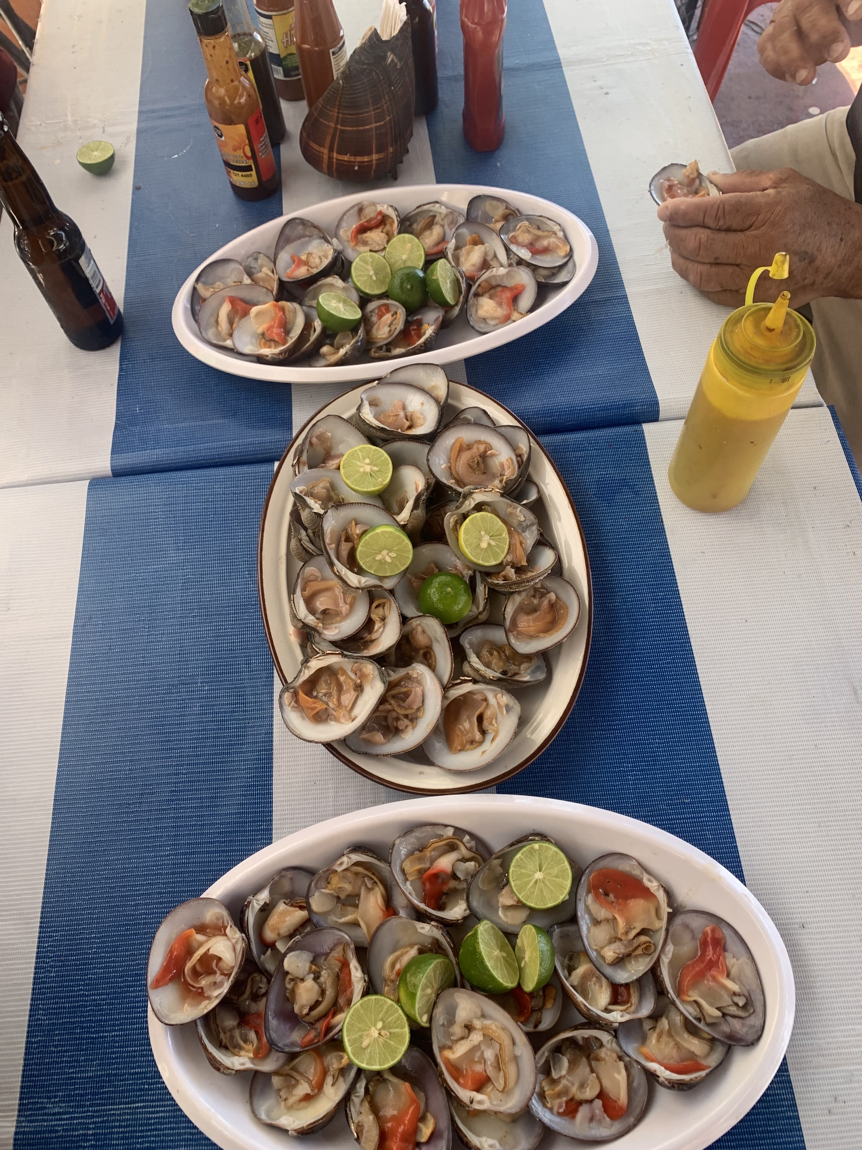 Maristacos el pechoco image 1