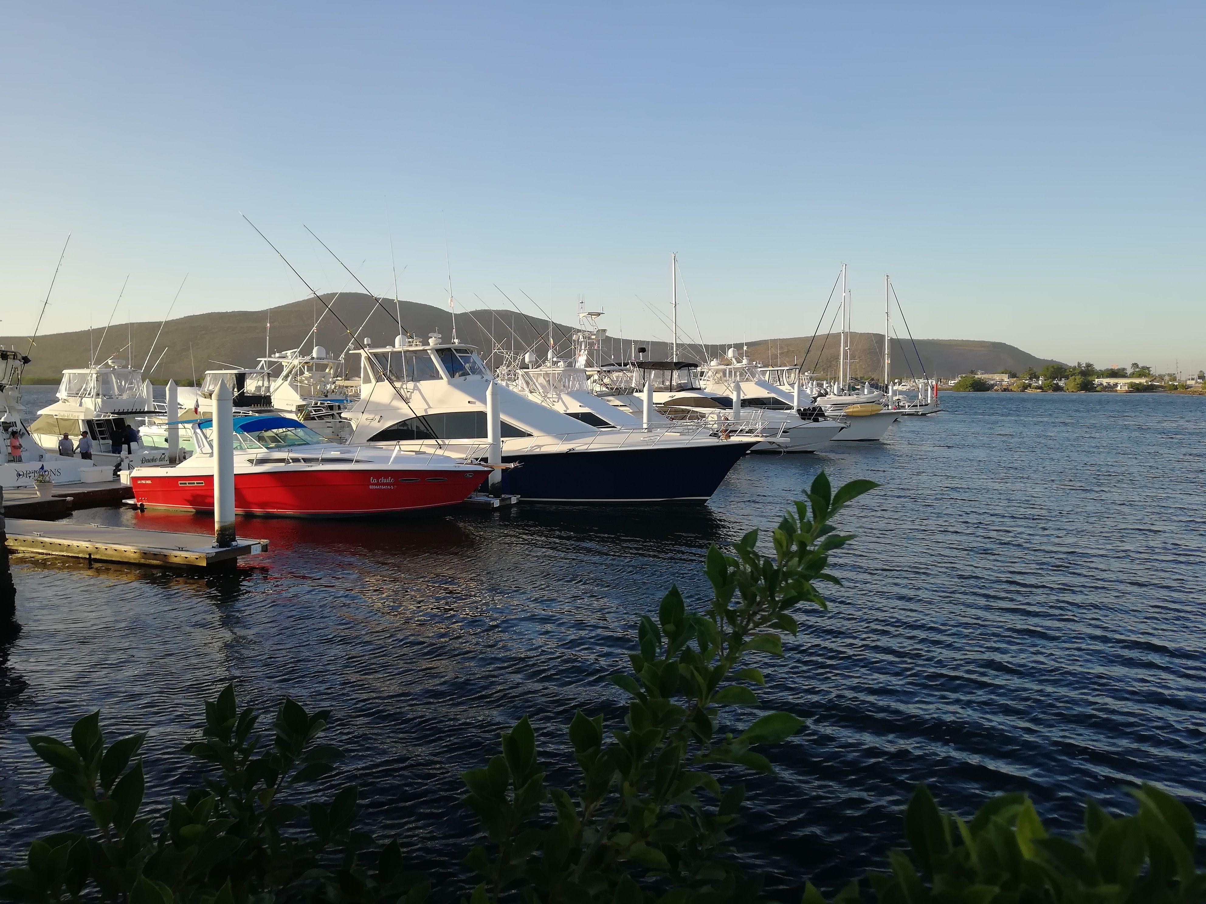 Mariscos Grecia image 3