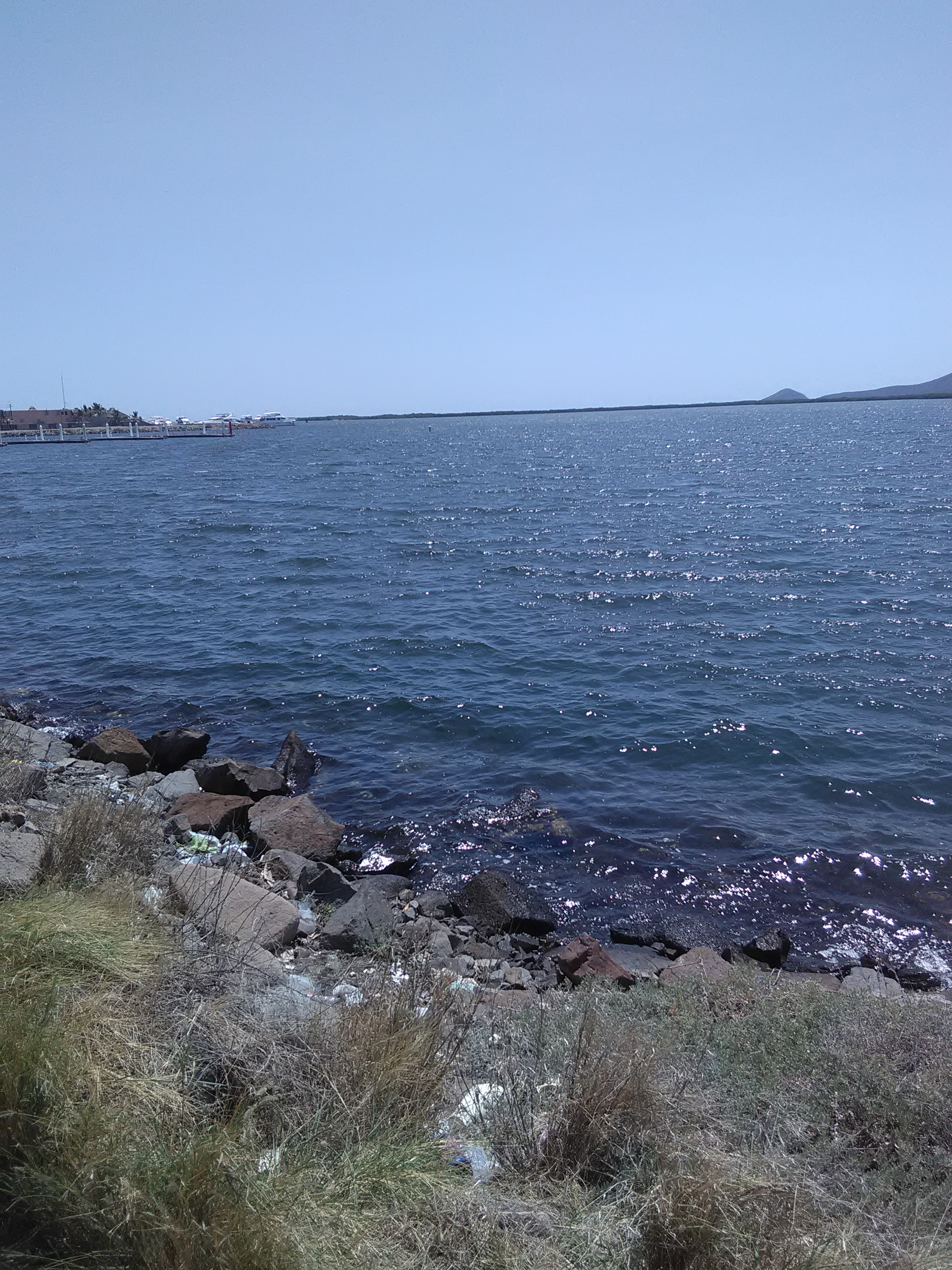 Mariscos Grecia image 8