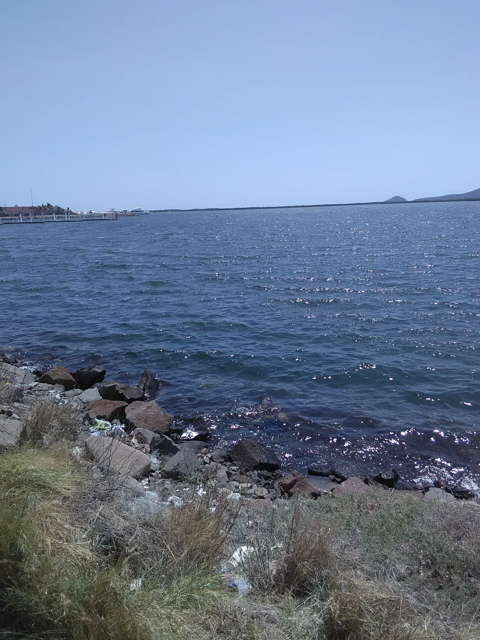Mariscos Grecia image 8