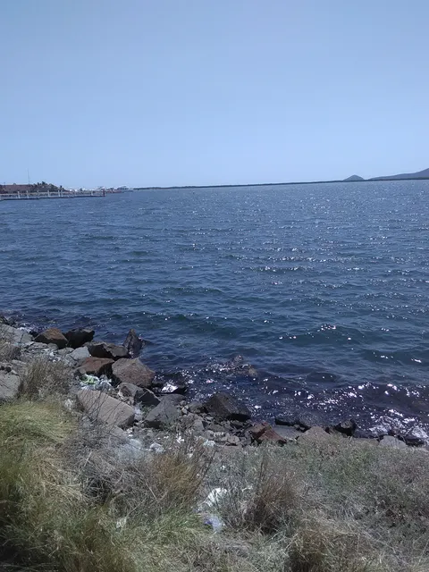 Mariscos Grecia image 8