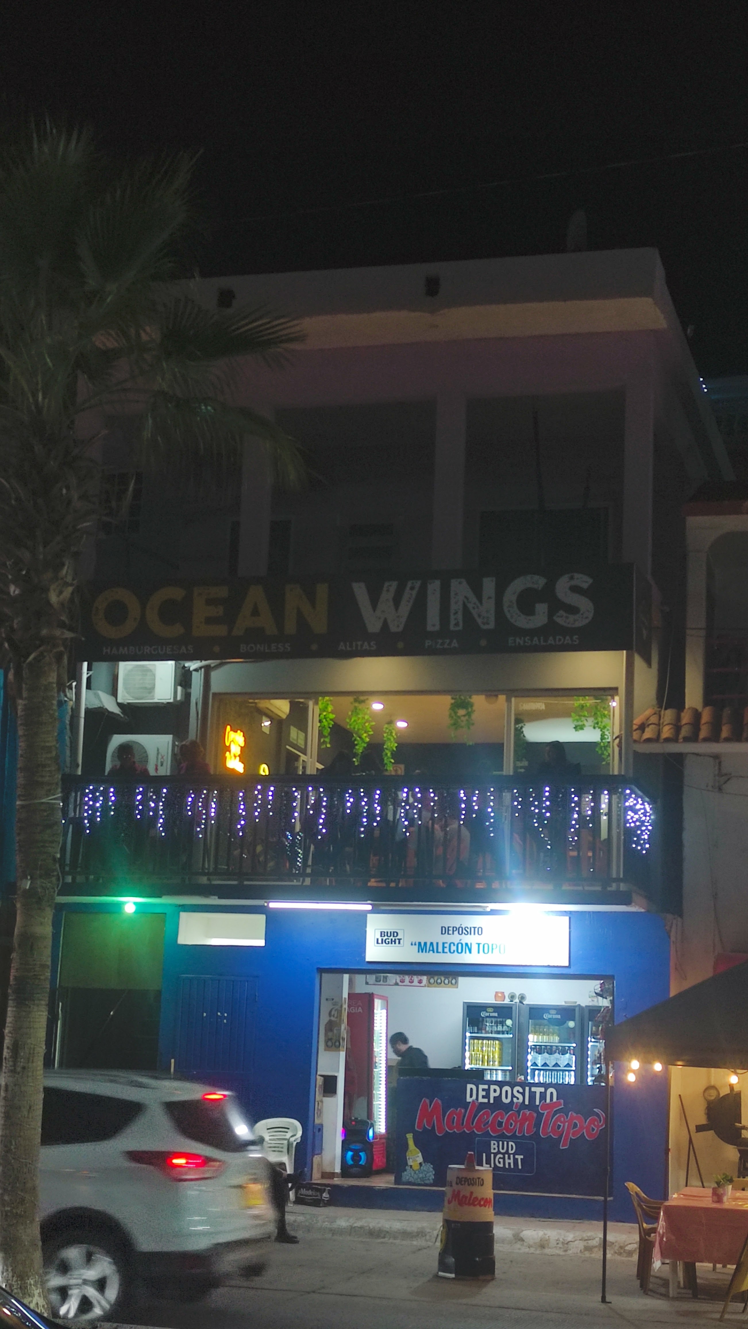Ocean Wings image 9
