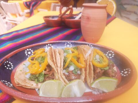 EL MAGUEYAL image 1