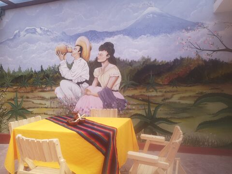 EL MAGUEYAL image 4