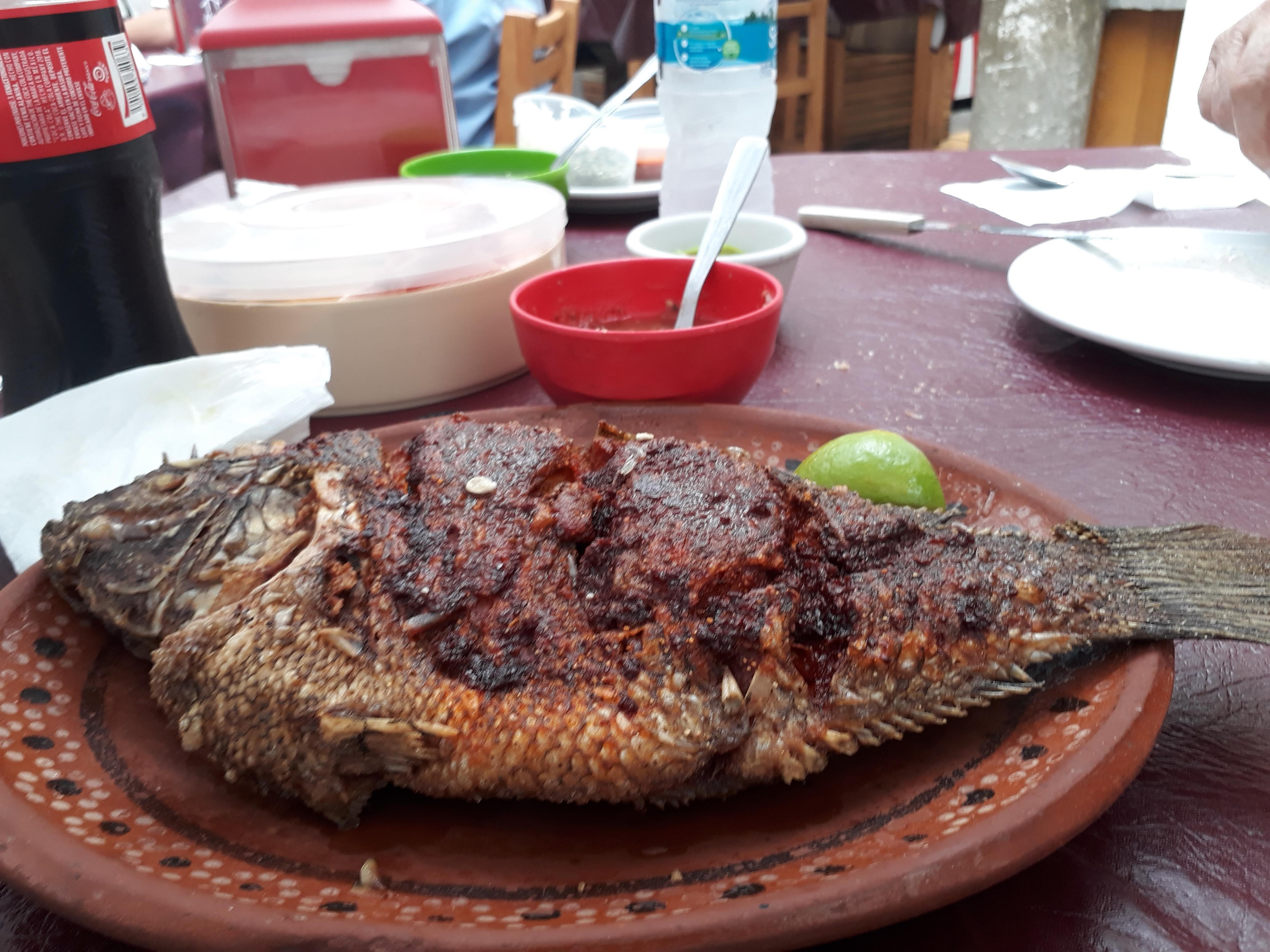 Casa Moranchel image 2