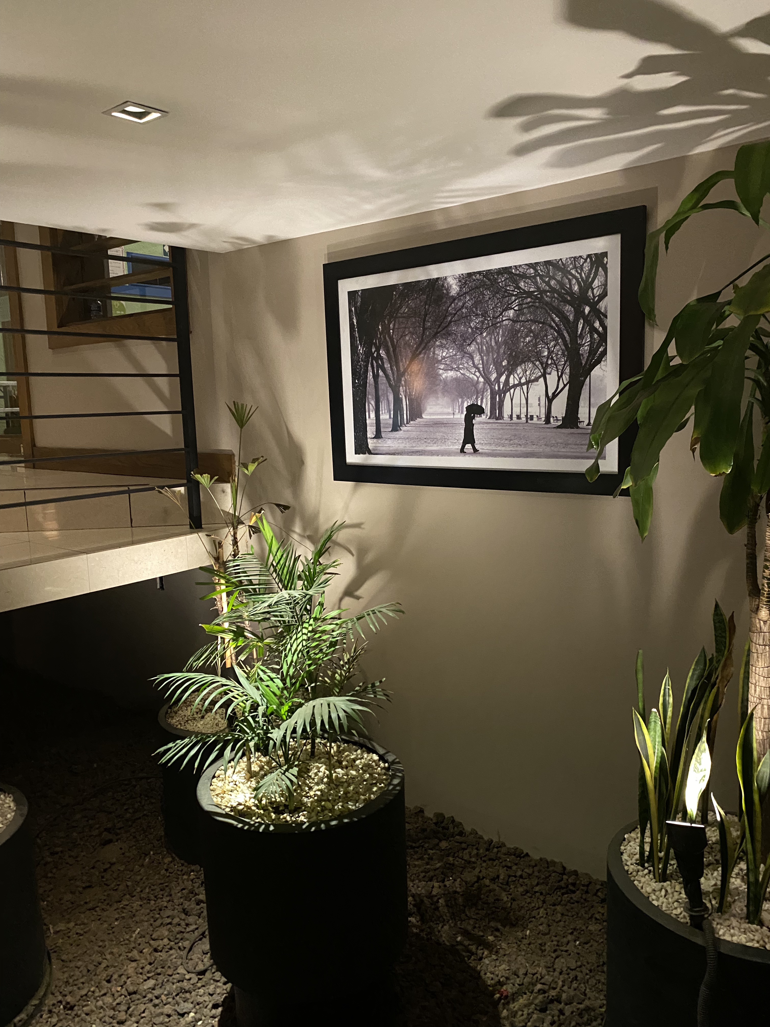 La Mansión Satélite image 9