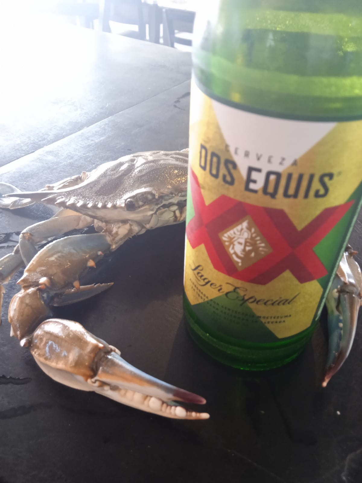 LA TERRAZA Cócteles & Ceviches image 10