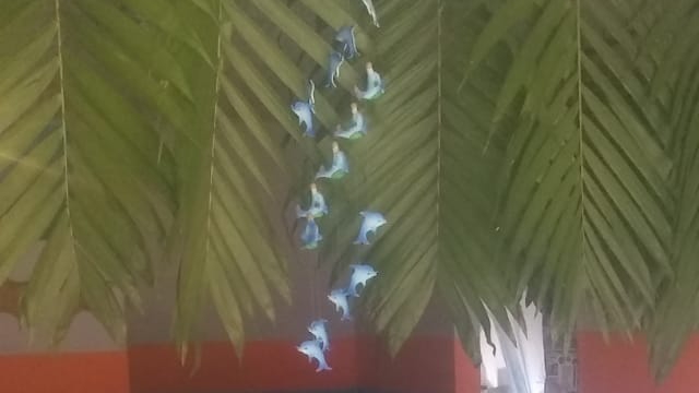 Marisqueria Altamar image 2