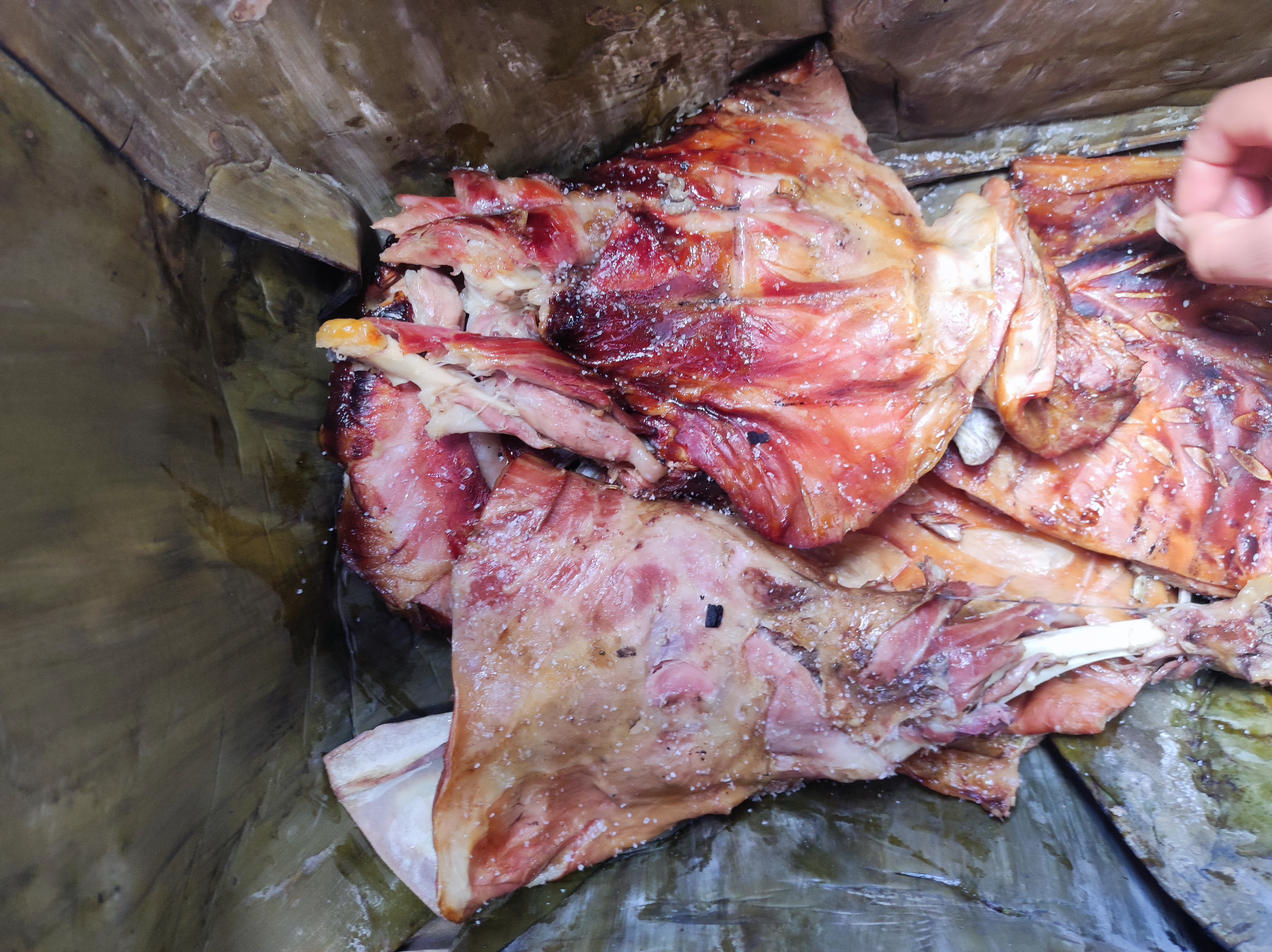 El Jardín de Don Santos image 2