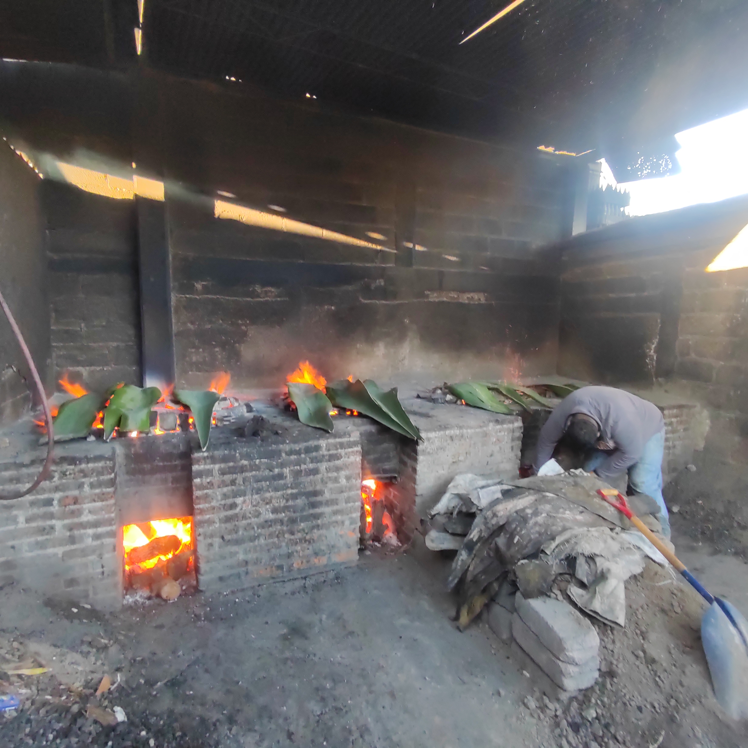 El Jardín de Don Santos image 5