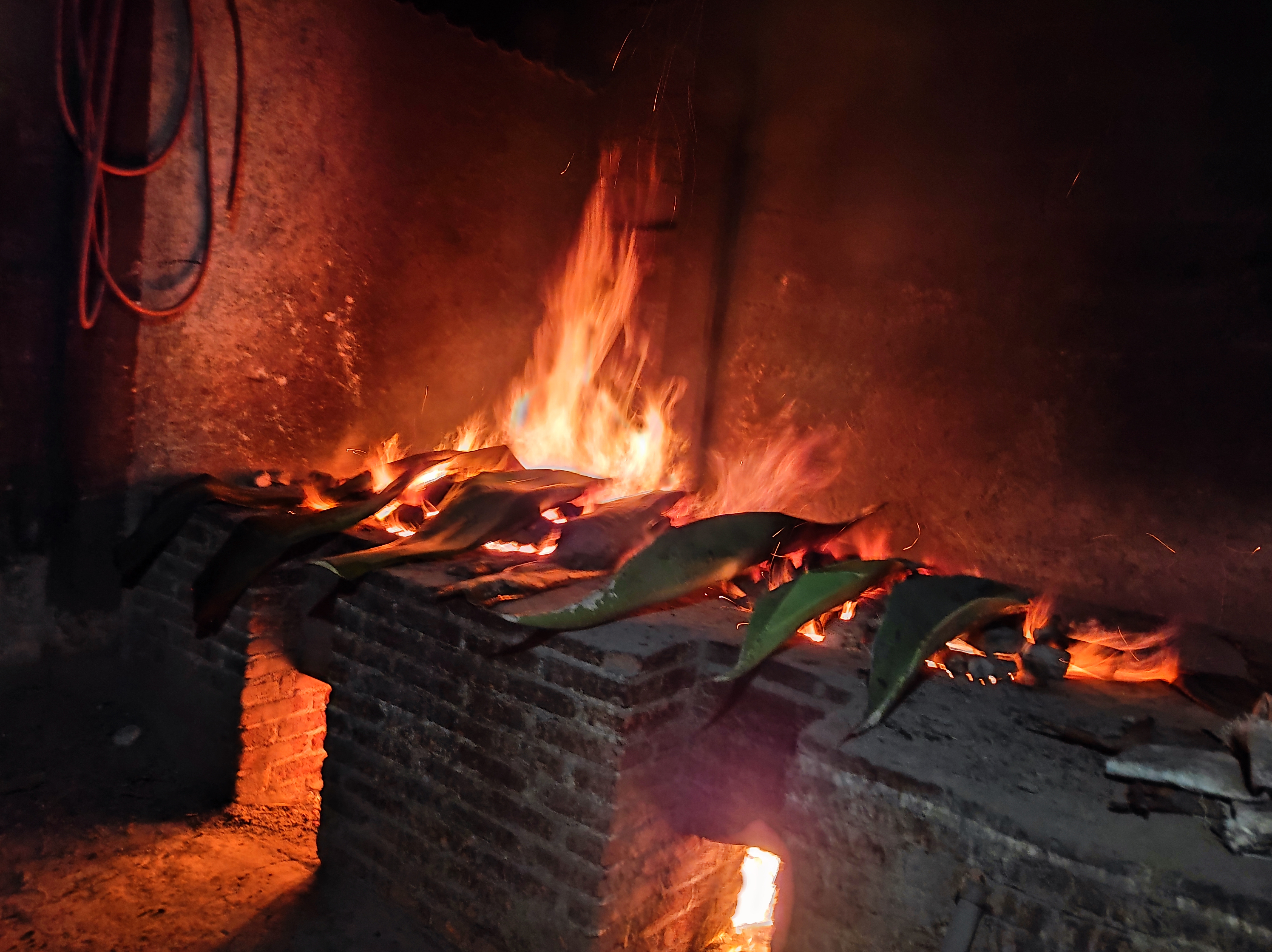 El Jardín de Don Santos image 6