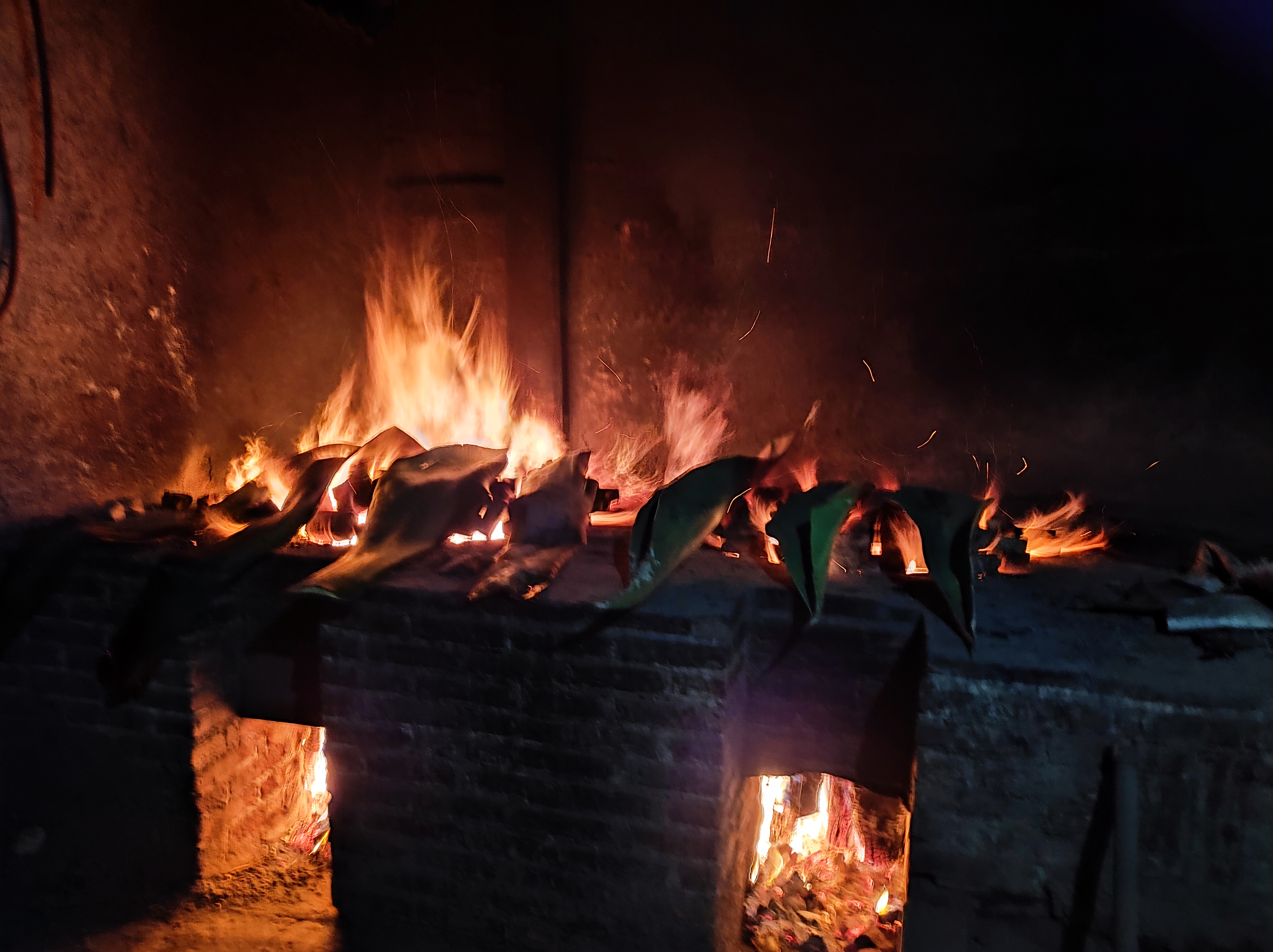 El Jardín de Don Santos image 7