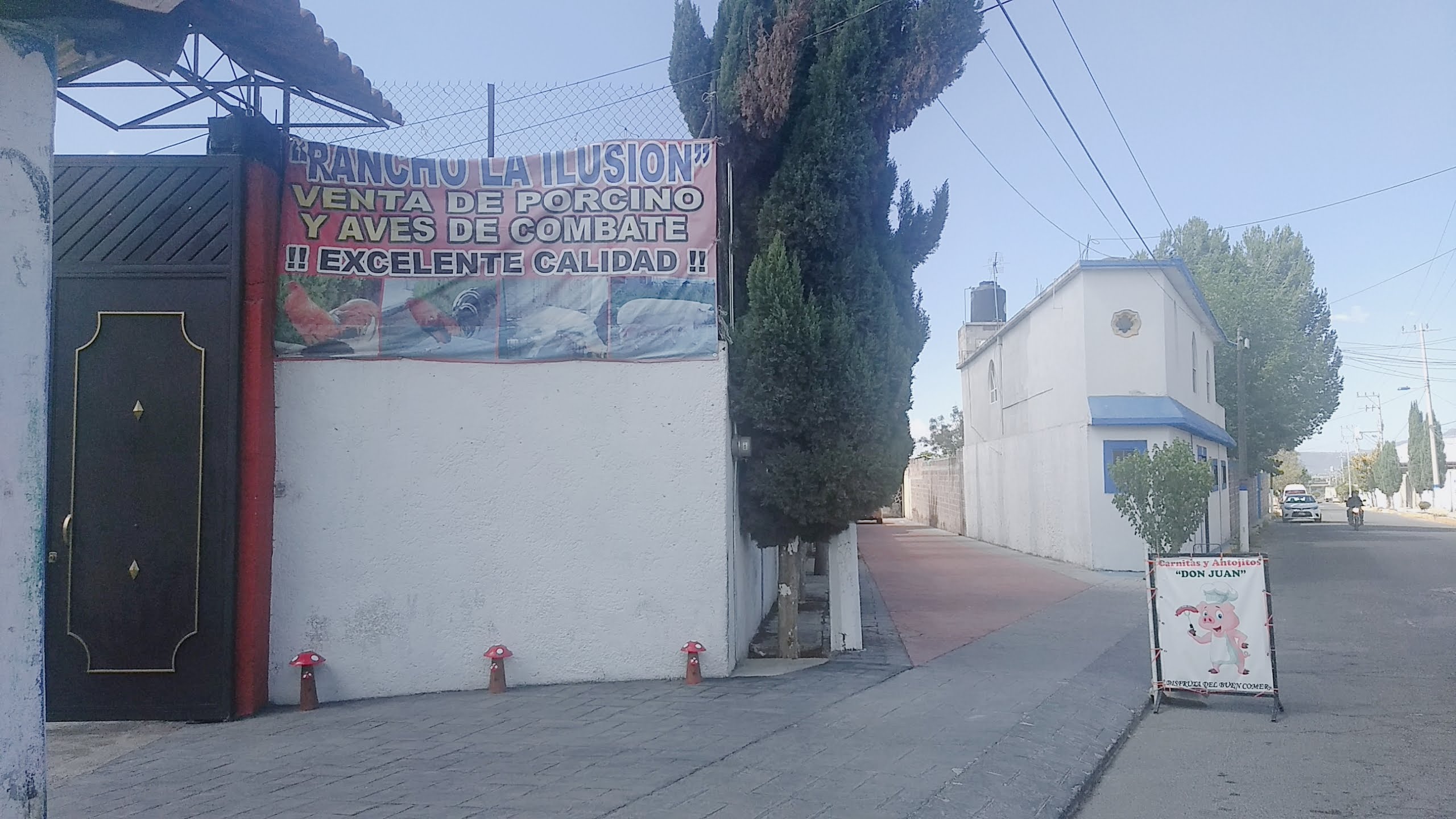 Carnitas y Antojitos Don Juan image 6