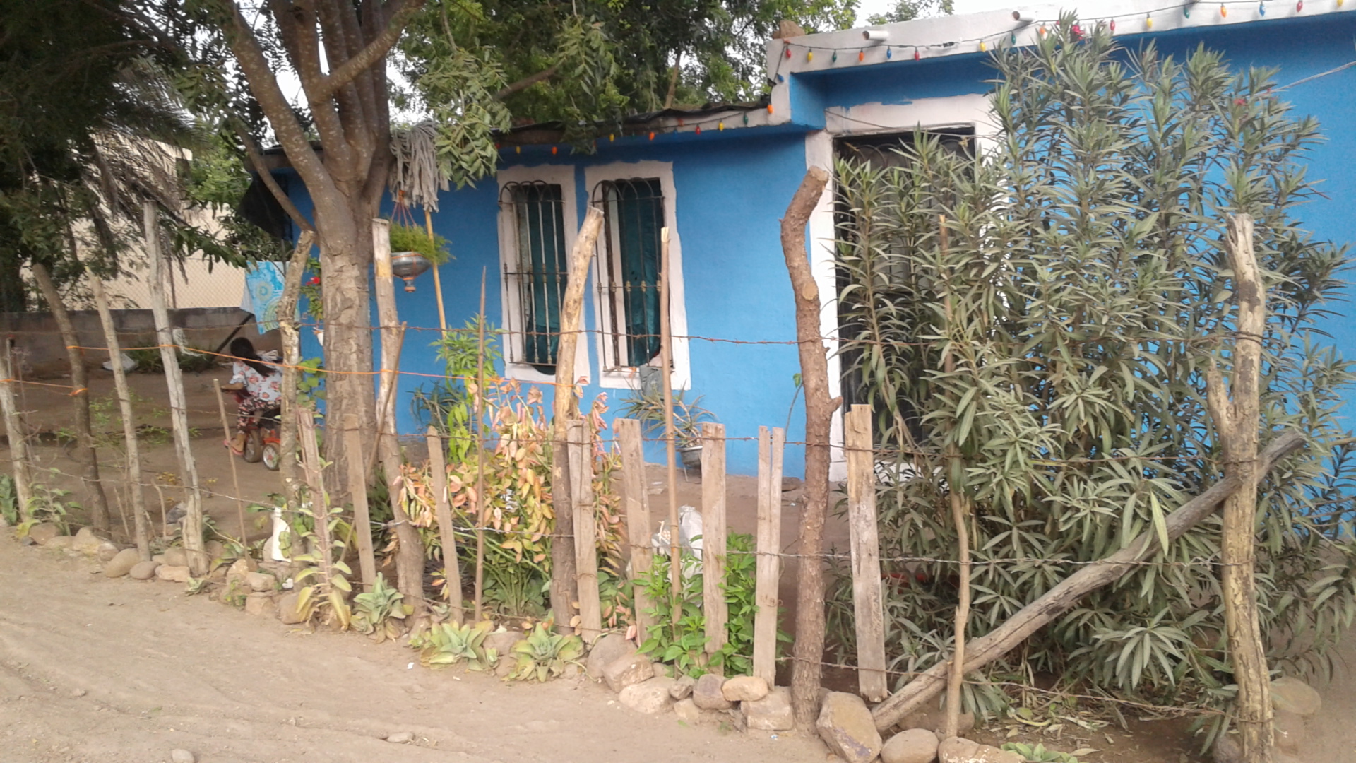 Mariscos el bolas image 1