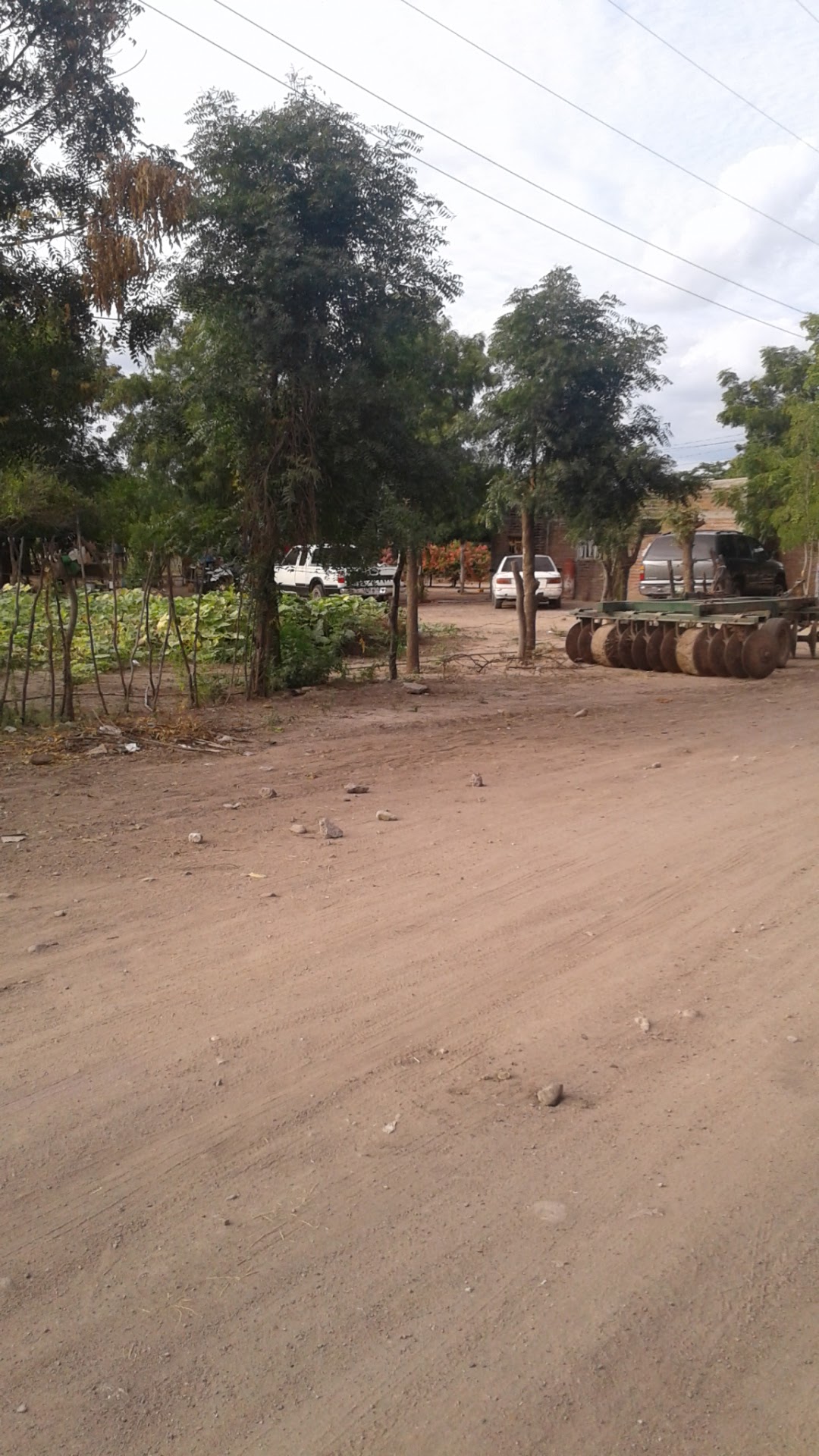 Mariscos el bolas image 2