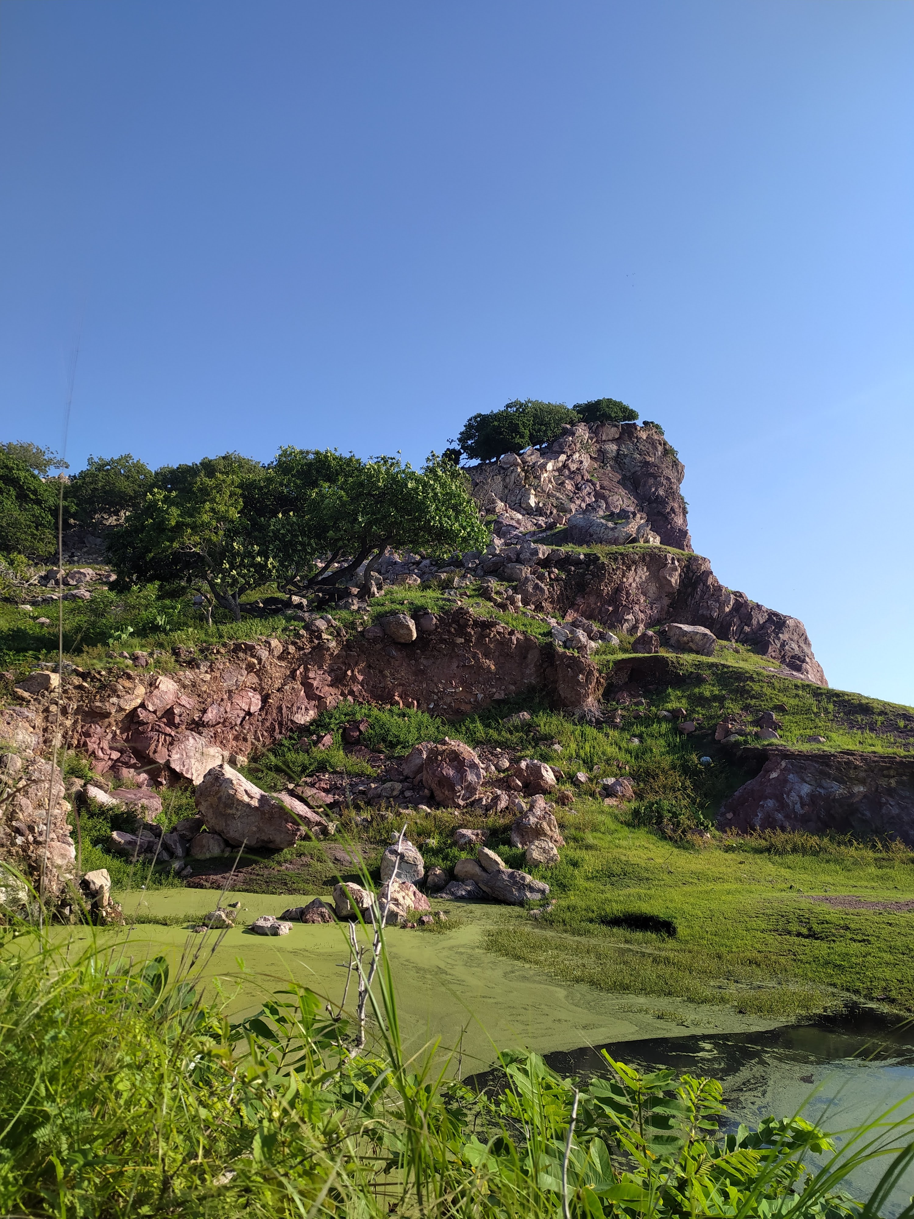 Restaurante Cerro de los Chivos image 10