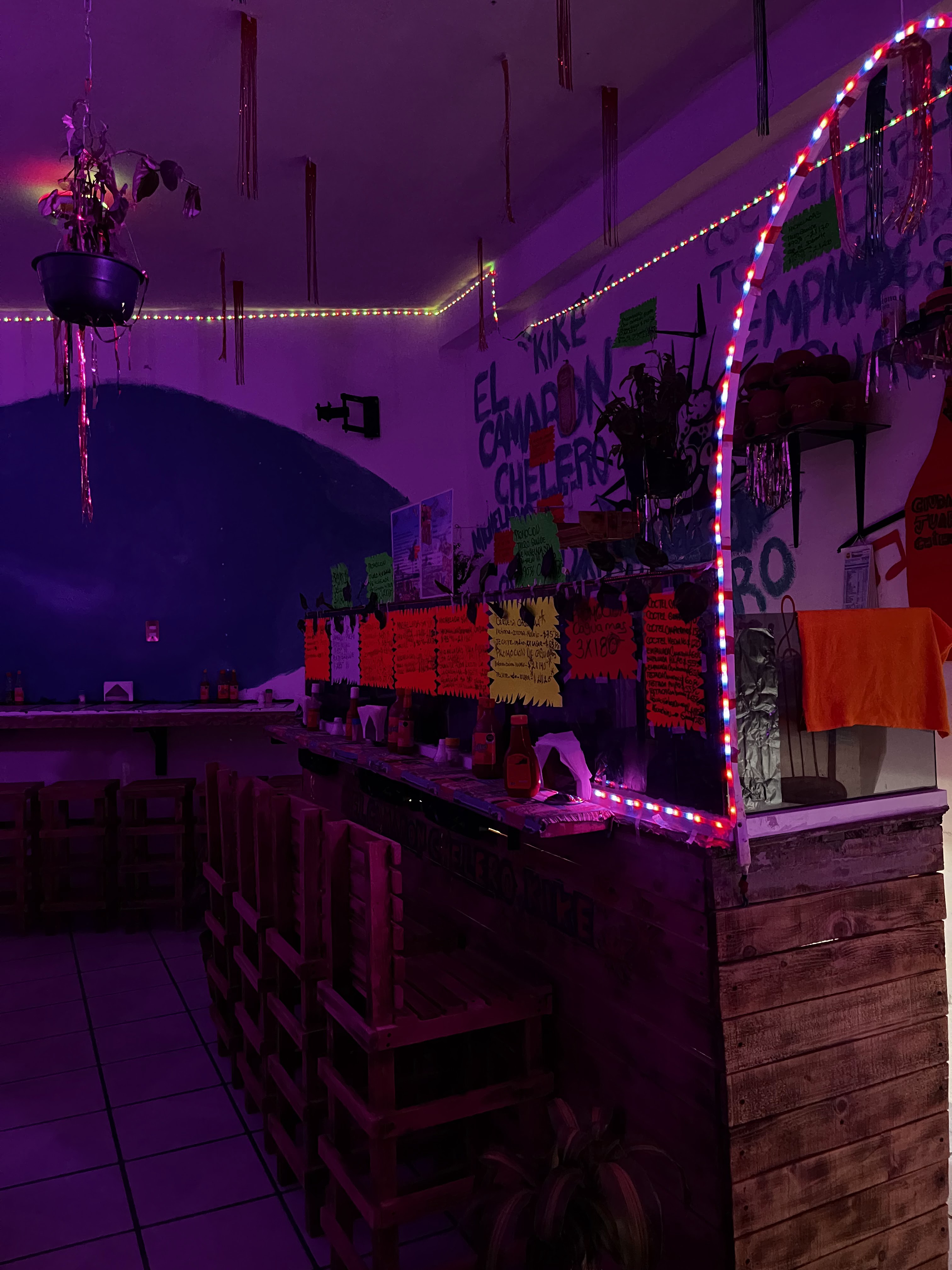 El Camarón Chelero image 2